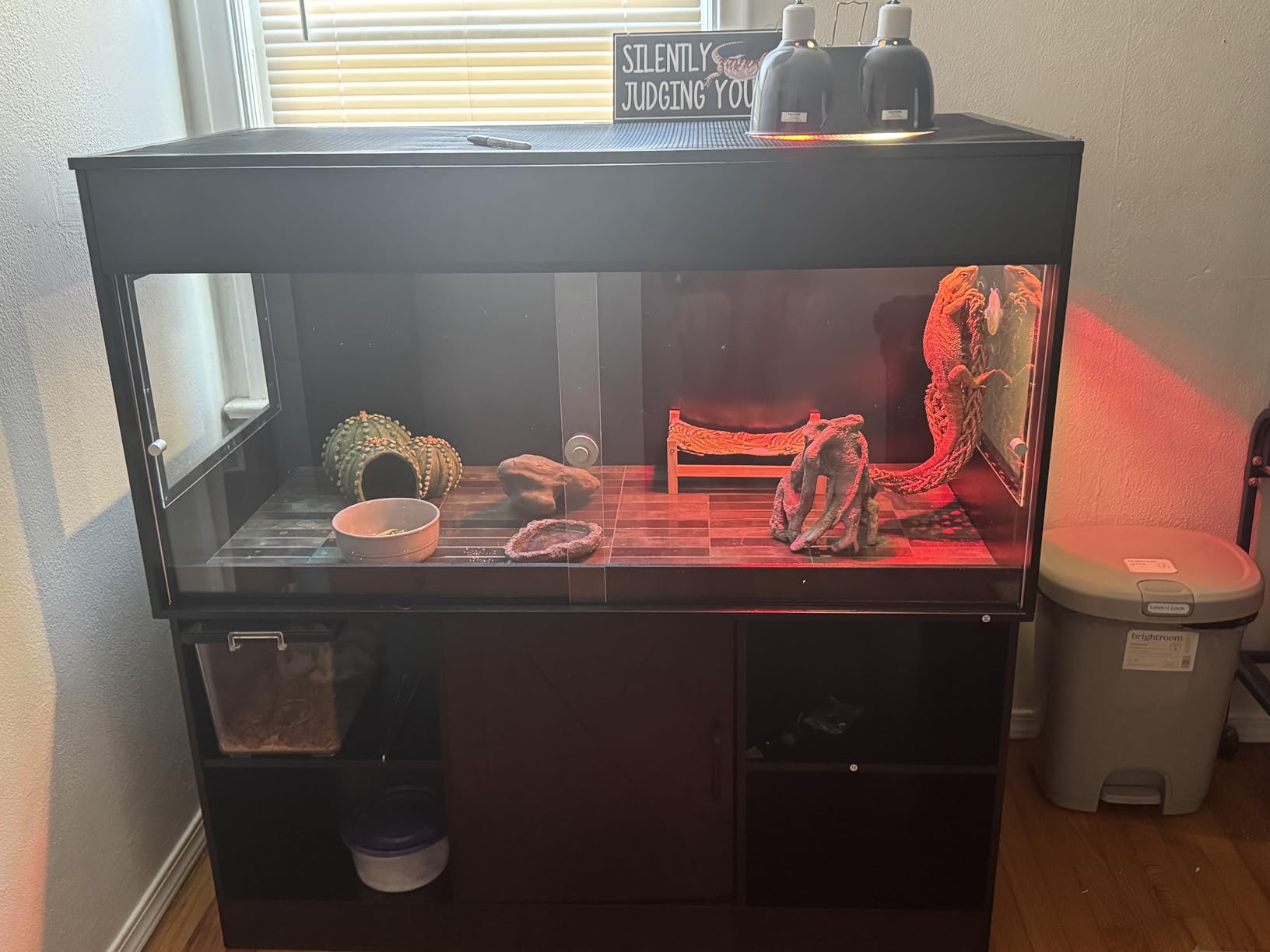 Herture 60 Gallon Reptile Tank with Stand, Terrarium Tank with Storage Cabinet, for Lizards, Skinks, Snakes, Sliding Acrylic Doors, Mesh Top, Built-in Power Outlet Black PX02RTB customer photo 2