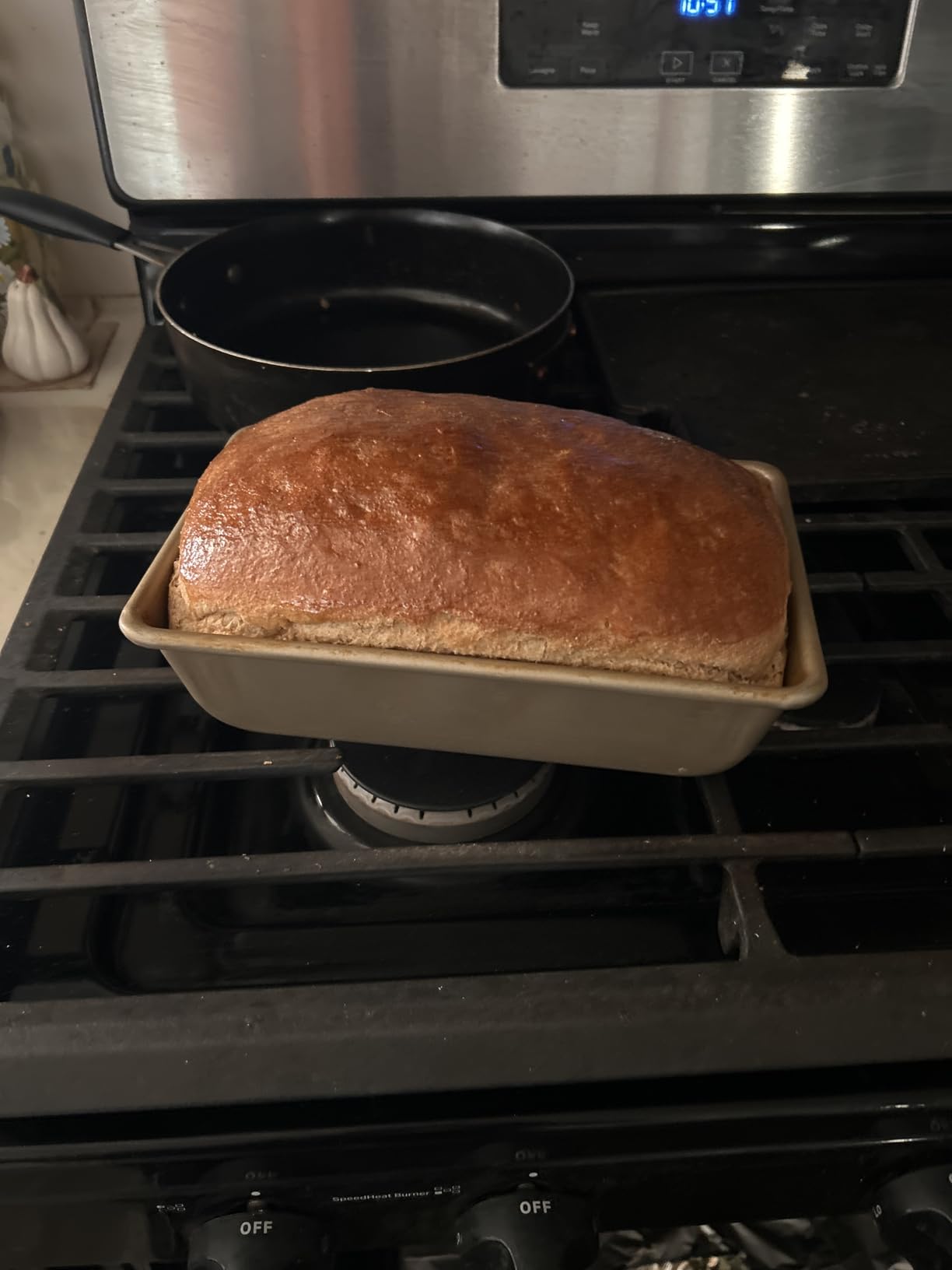 Joydeem Electric Dough Maker with Dual Seasonal Fermentation Function, 3.7Qt Dough Mixer Machine, Perfect for Bread Pizza Roti Dumpling Dough & Sourdough, HMJ-A351 customer photo 1