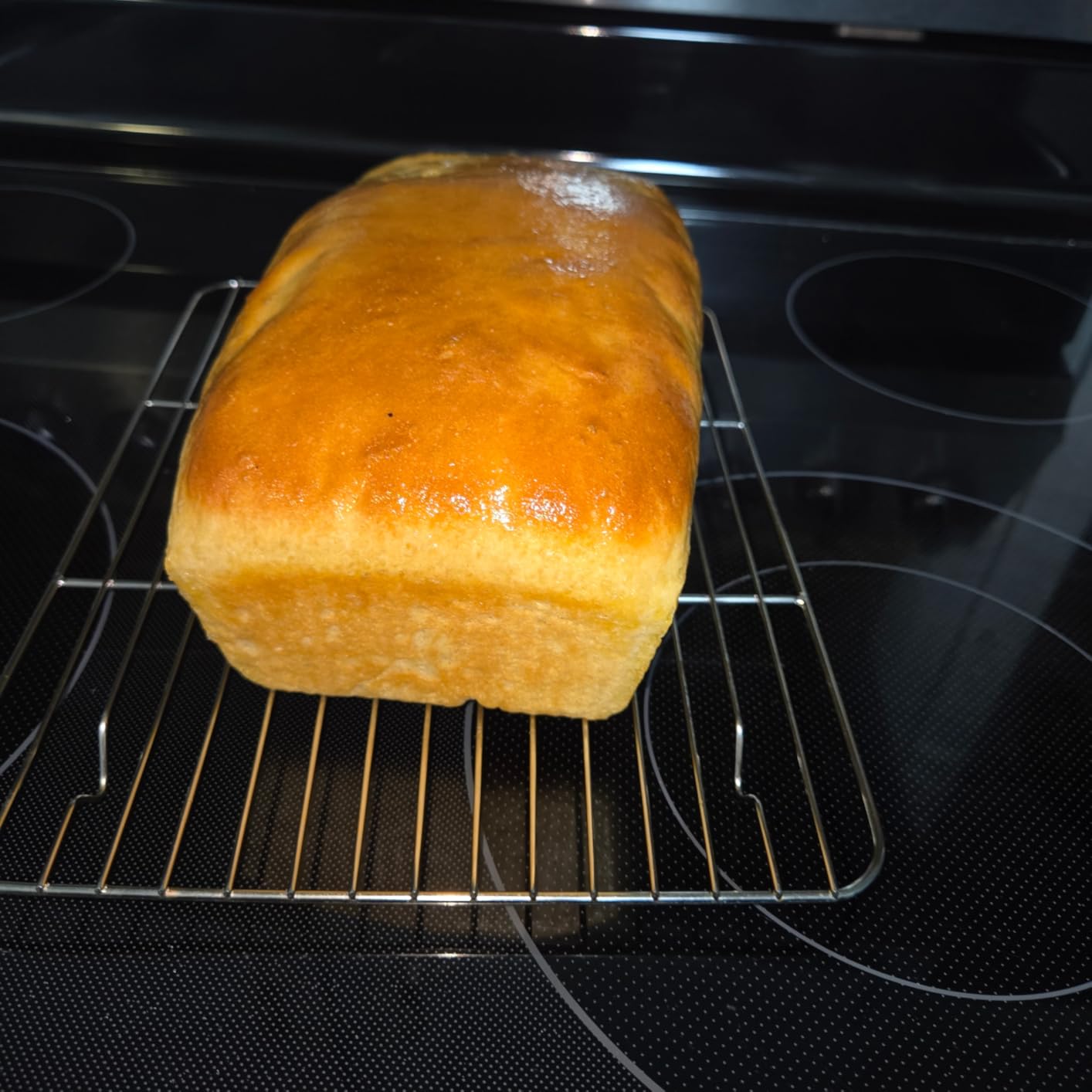 Joydeem Electric Dough Maker with Dual Seasonal Fermentation Function, 3.7Qt Dough Mixer Machine, Perfect for Bread Pizza Roti Dumpling Dough & Sourdough, HMJ-A351 customer photo 2