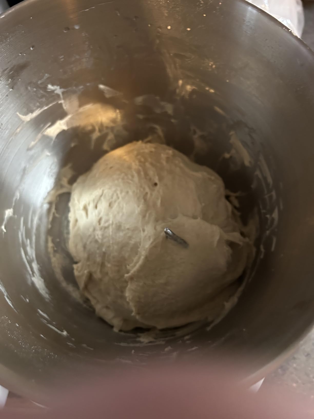 Lemuugo Electric Dough Maker with Proof Function, 6.34 Qt Bowl, Digital Timer, 2 Proofing Modes, Face-up Touch Panel, 304 Stainless Steel, Kneading Device, sourdough bread baking supplies customer photo 2