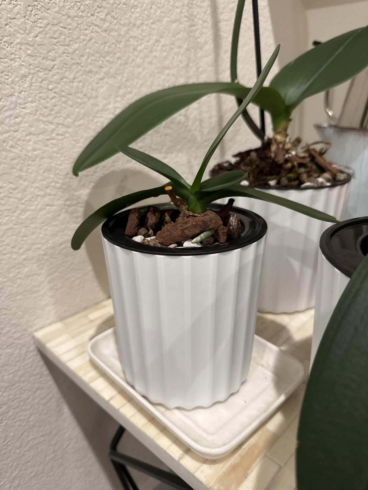 MUZHI 2 Layer Orchid Pot with Holes, Inner Clear Mesh Slotted Basket with Drain Tray 5.4