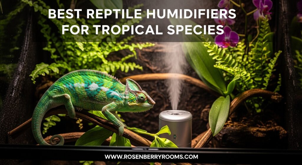 The current image has no alternative text. The file name is: Best-Reptile-Humidifiers-for-Tropical-Species.jpeg