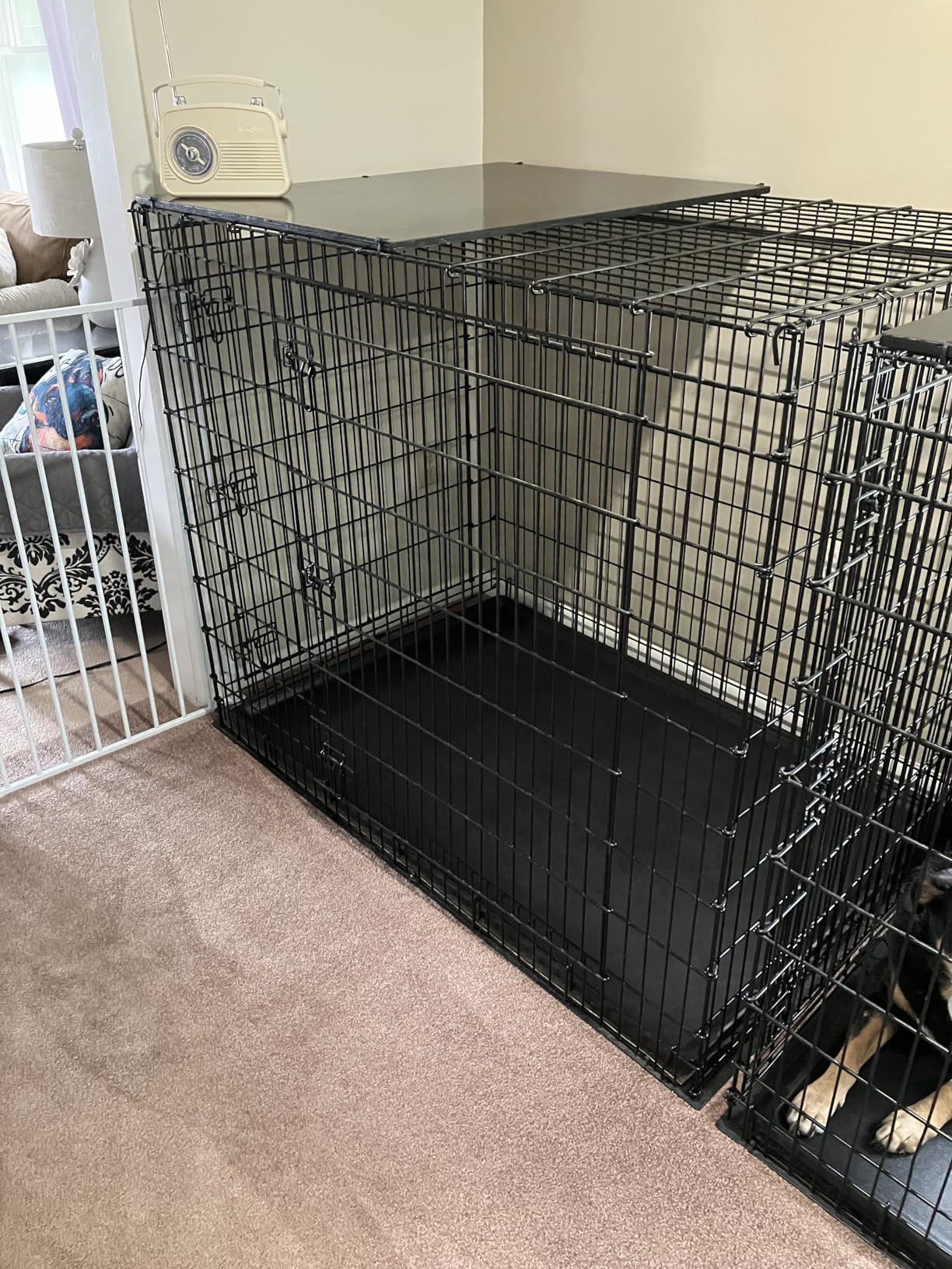 MidWest Homes for Pets 42-Inch iCrate for Large Breeds, 71-90 lbs, Double Door Folding Dog Crate with Divider Panel, Leak-Proof Tray & Secure Latches customer photo 1