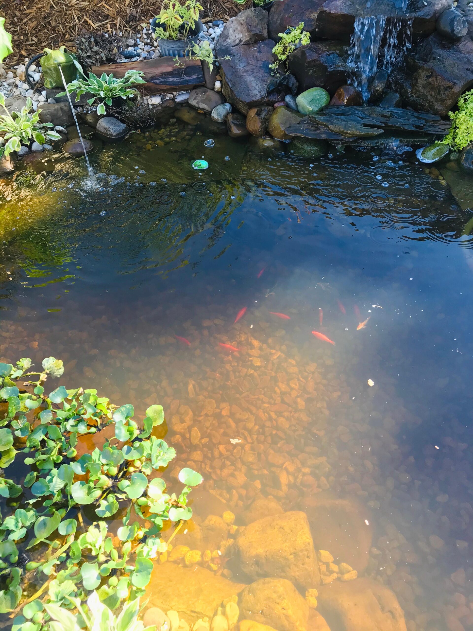Tetra Pond Debris-Handling Pump, Energy Efficient, UL Listed customer photo 2