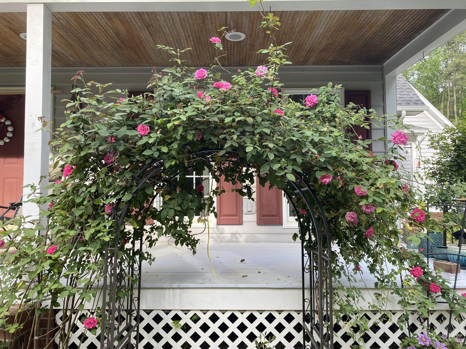 Plow & Hearth Arch Metal Outdoor Garden Arbor | Montebello | 7 Feet Tall | Steel Iron Trellis Lattice for Climbing Plants & Heavy Vines | Wedding Outdoor Patio Decor customer photo 2