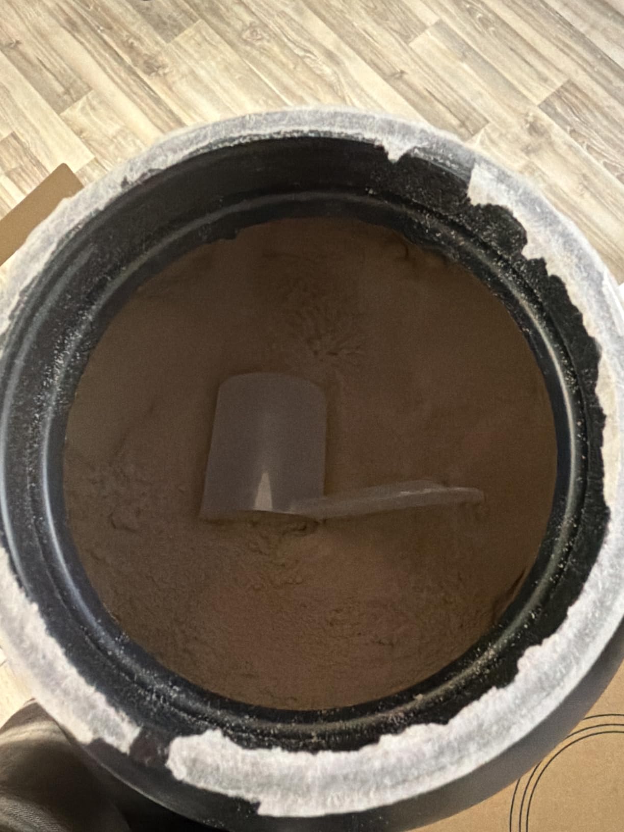 Optimum Nutrition Gold Standard 100% Whey Protein Powder, Double Rich Chocolate, 1.98 Pound customer photo 2