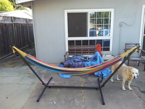 Vivere Double Cotton Hammock with Space Saving Steel Stand, Upgraded Polyester End Strings 450 lb Capacity - Premium Carry Bag Included - USA Grown Cotton (Tropical) customer photo 2