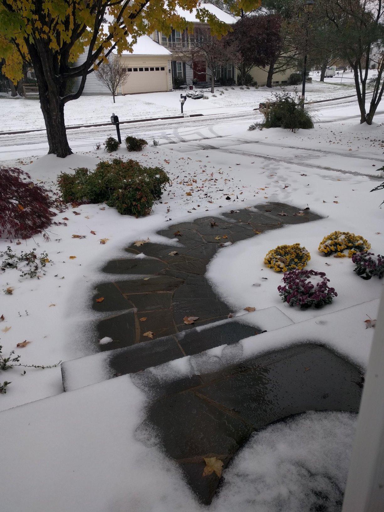 WarmlyYours 3x15 ft. Electric Ice and Snow Melting Mat 120V 2250 Watts - Embedded Under Asphalt, Concrete, or Pavers - Radiant Heated Driveway, Walkways, Sidewalks, Patios, Porch, Ramps PowerMat customer photo 1