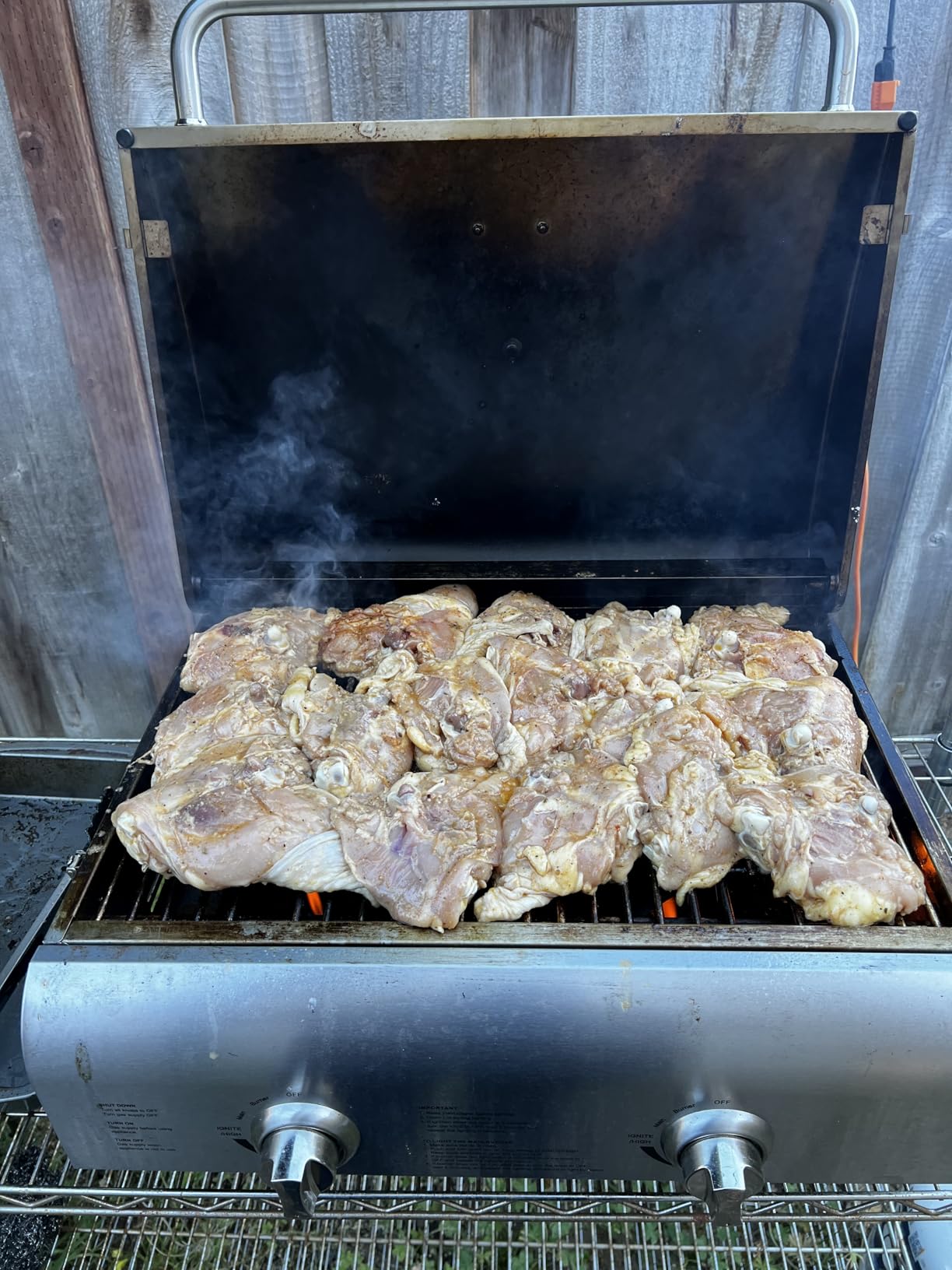 Cuisinart Chef's Style Tabletop Portable Propane Grill, 20,000 BTU Stainless Steel 2-Burner Outdoor Gas Grill for Camping, Tailgates, BBQ, CGG-306 customer photo 2