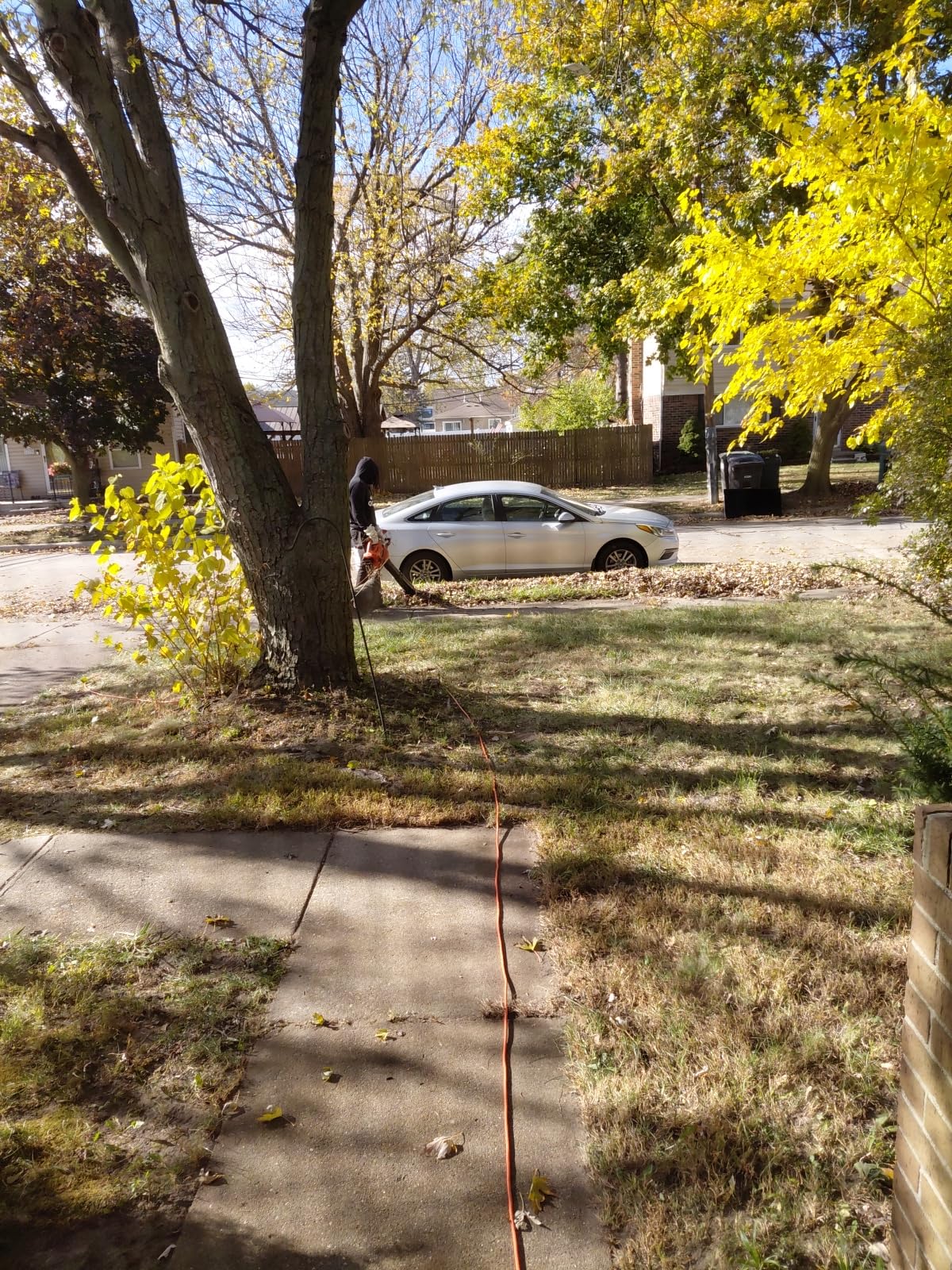 BLACK+DECKER Leaf Blower Leaf Vacuum and Leaf Mulcher 3-in-1, Electric Blowers for Lawn Care, 12 Amp, 250 MPH, 400 CFM (BV6000) customer photo 2
