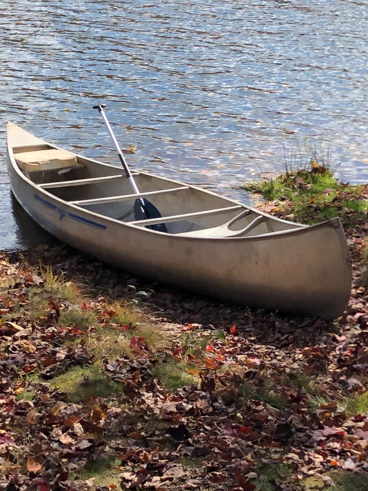 Attwood 11765-1 Canoe Paddle, Aluminum and Plastic, 5-Feet Long, Black Blade, Ergonomic Grip customer photo 1