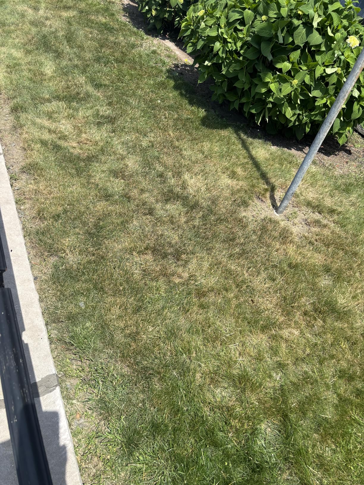 BLACK+DECKER Weed Eater, Lawn Edger and Cordless Lawn Mower 3 in 1 Combo, Includes (2) Batteries, Charger, 12 Inch Battery Powered String Trimmer and Lawnmower, Adjustable Length and Height (MTC220) customer photo 2