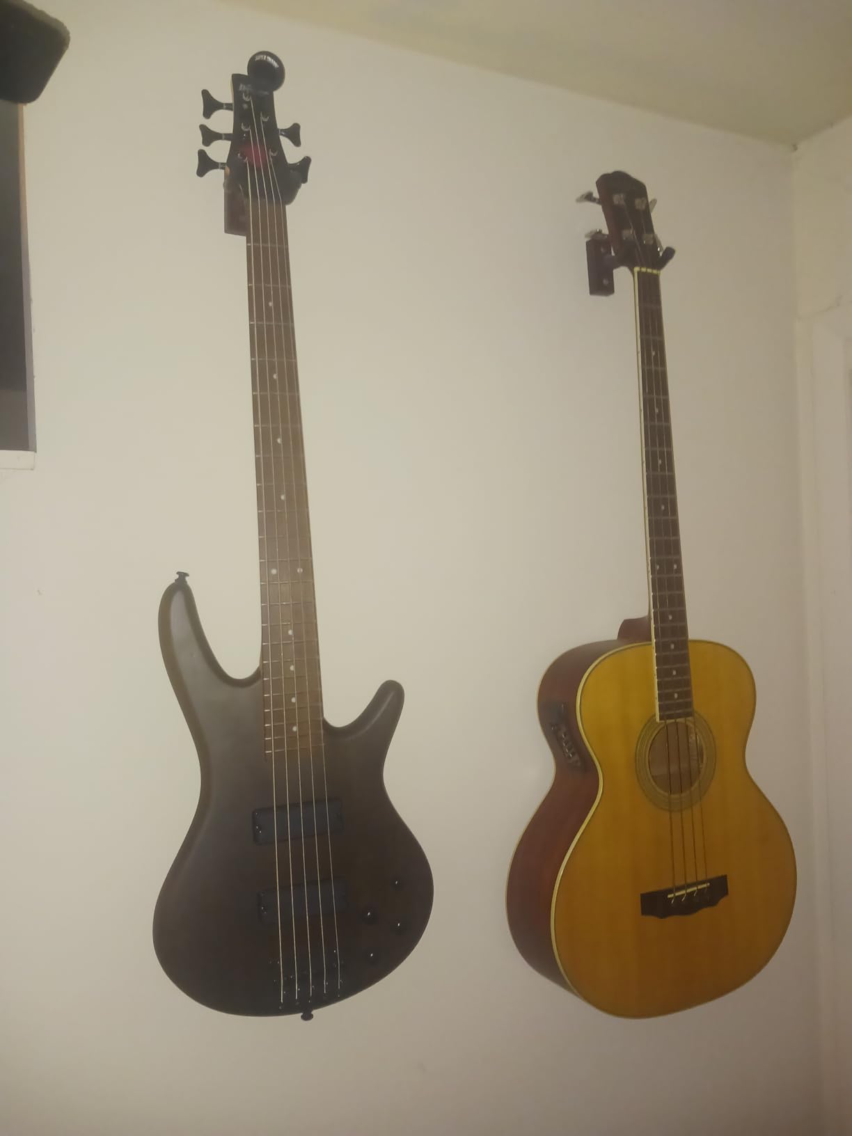 Ibanez GSR205BWNF GIO - Walnut Flat customer photo 1