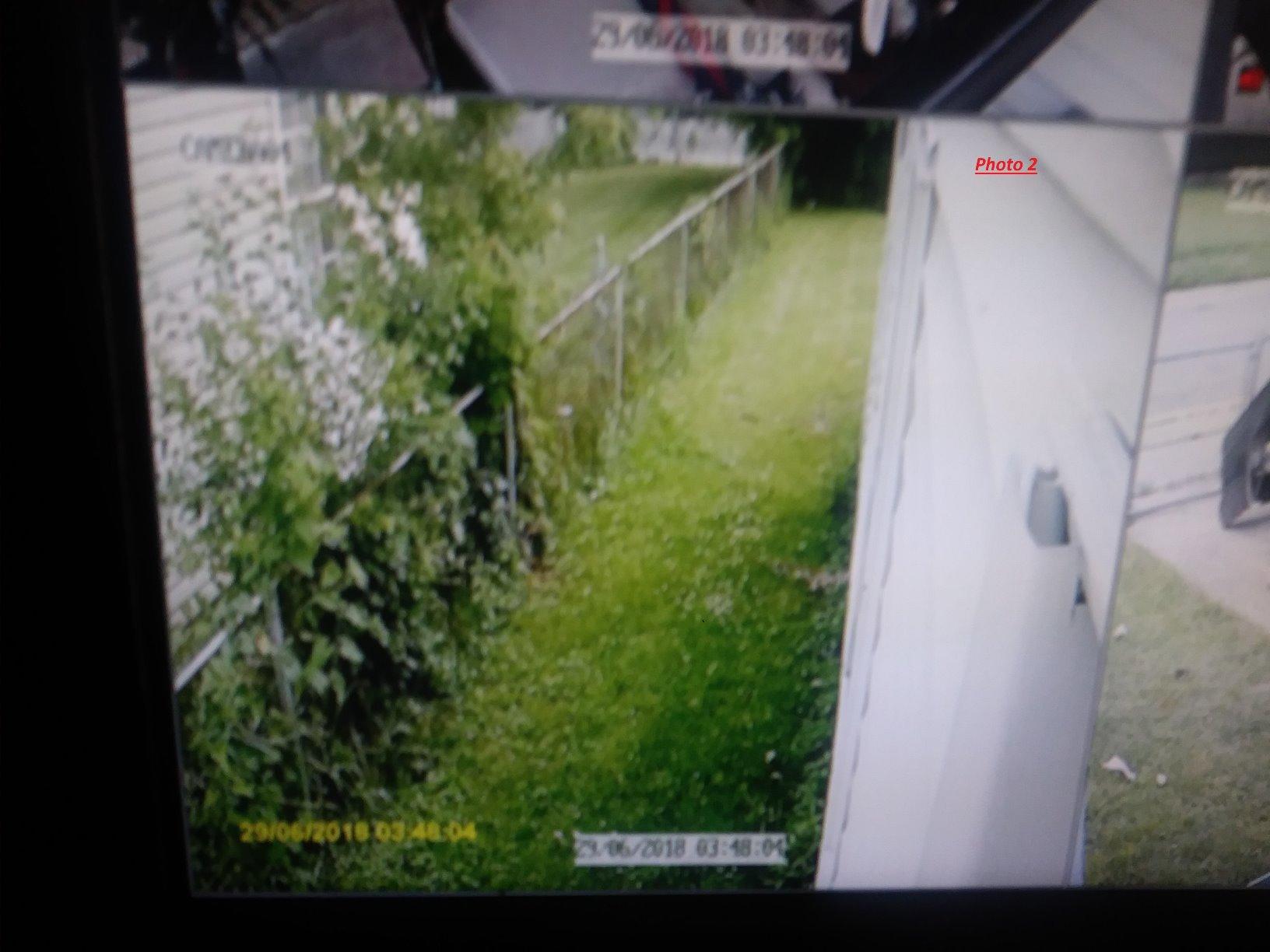 ZOSI 3K Lite 8CH H.265+ Home Security Camera System with AI Human/Vehicle Detection, Night Vision, 5MP Lite 8 Channel CCTV DVR, 4pcs 1080P 1920TVL 2MP Outdoor Indoor Surveillance Dome Cameras (No HDD) customer photo 2