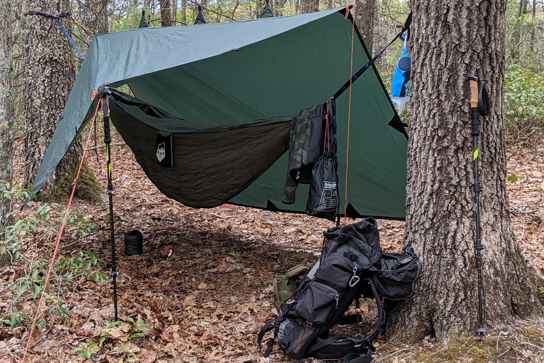Cascade Mountain Tech Trekking Poles - Carbon Fiber Walking or Hiking Sticks with Quick Adjustable Locks customer photo 2