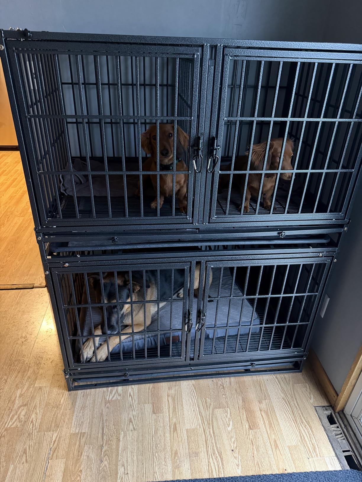 Homey Pet 37 inch Stackable Heavy Duty Dog Crate, Indestructible Escape Proof Dogs Cage Kennel with Lockable Wheels, Removable Tray & Metal Grid, Double Doors for High Anxiety Medium/Small Dogs customer photo 1