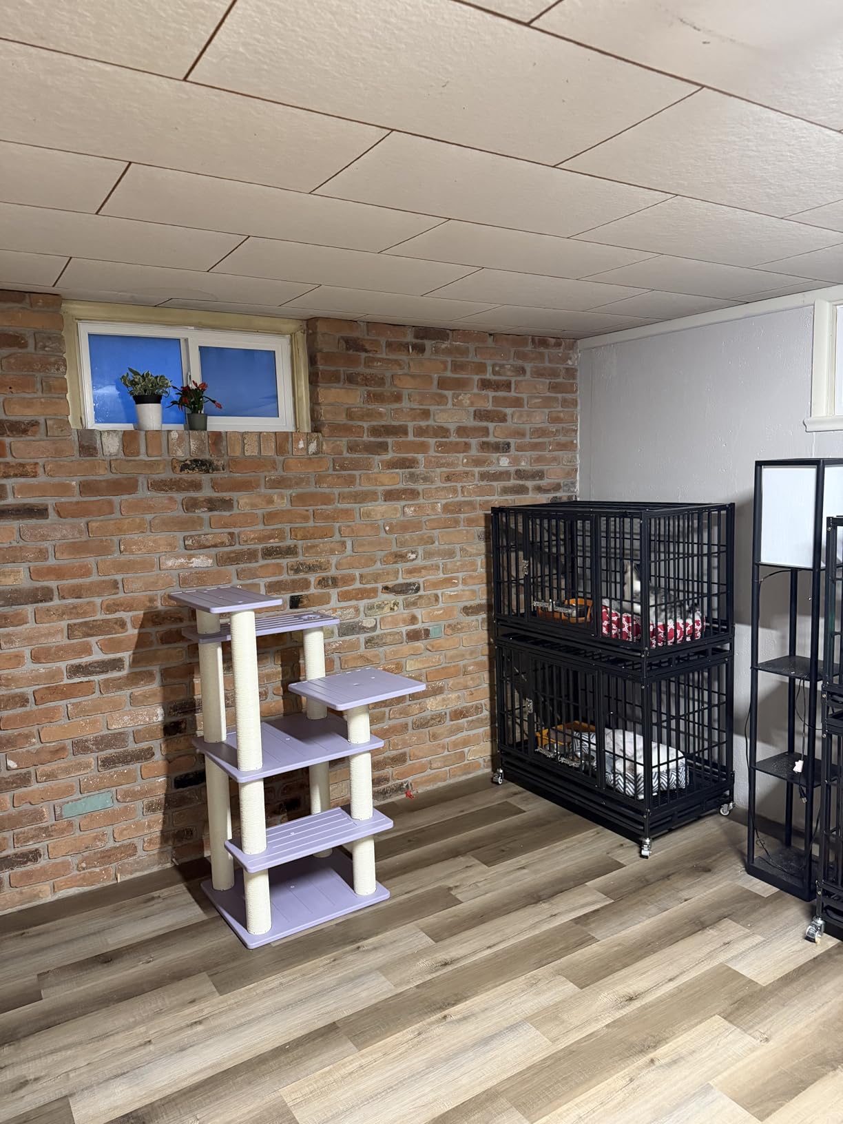 Homey Pet 37 inch Stackable Heavy Duty Dog Crate, Indestructible Escape Proof Dogs Cage Kennel with Lockable Wheels, Removable Tray & Metal Grid, Double Doors for High Anxiety Medium/Small Dogs customer photo 2