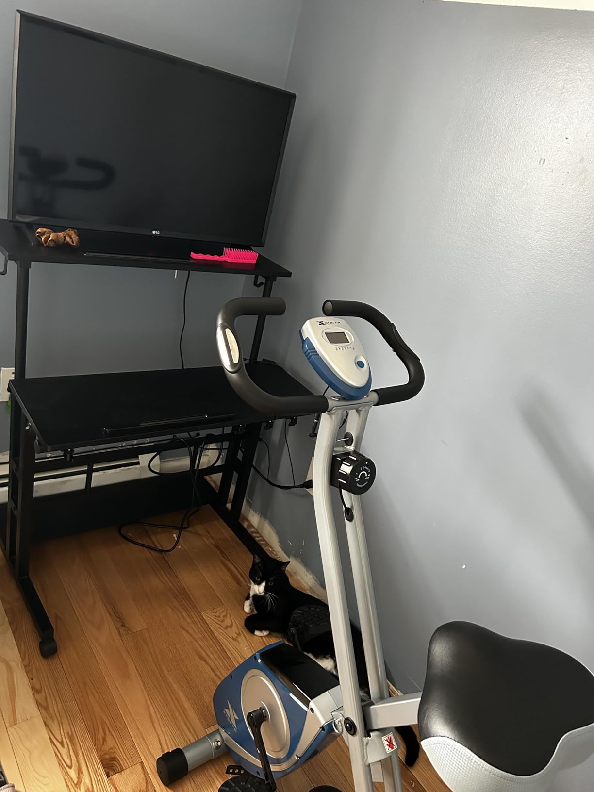 XTERRA Fitness Folding Exercise Bike, 225 LB Weight Capacity customer photo 1