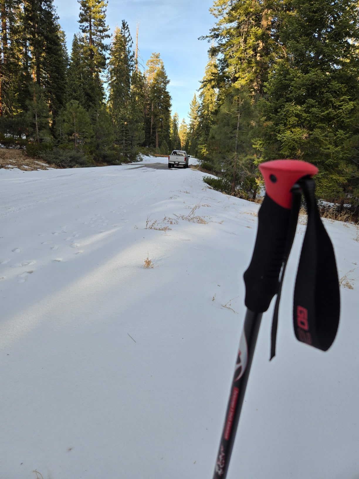 G2 21/25/30/36 Inches Light Weight Snowshoes with Toe Box, EVA Padded Ratchet Binding, Heel Lift, Flexible Pivot Bar, Durable Back Strap, Trekking Poles, Carrying Bag, Snow Baskets(6 colors available) customer photo 2