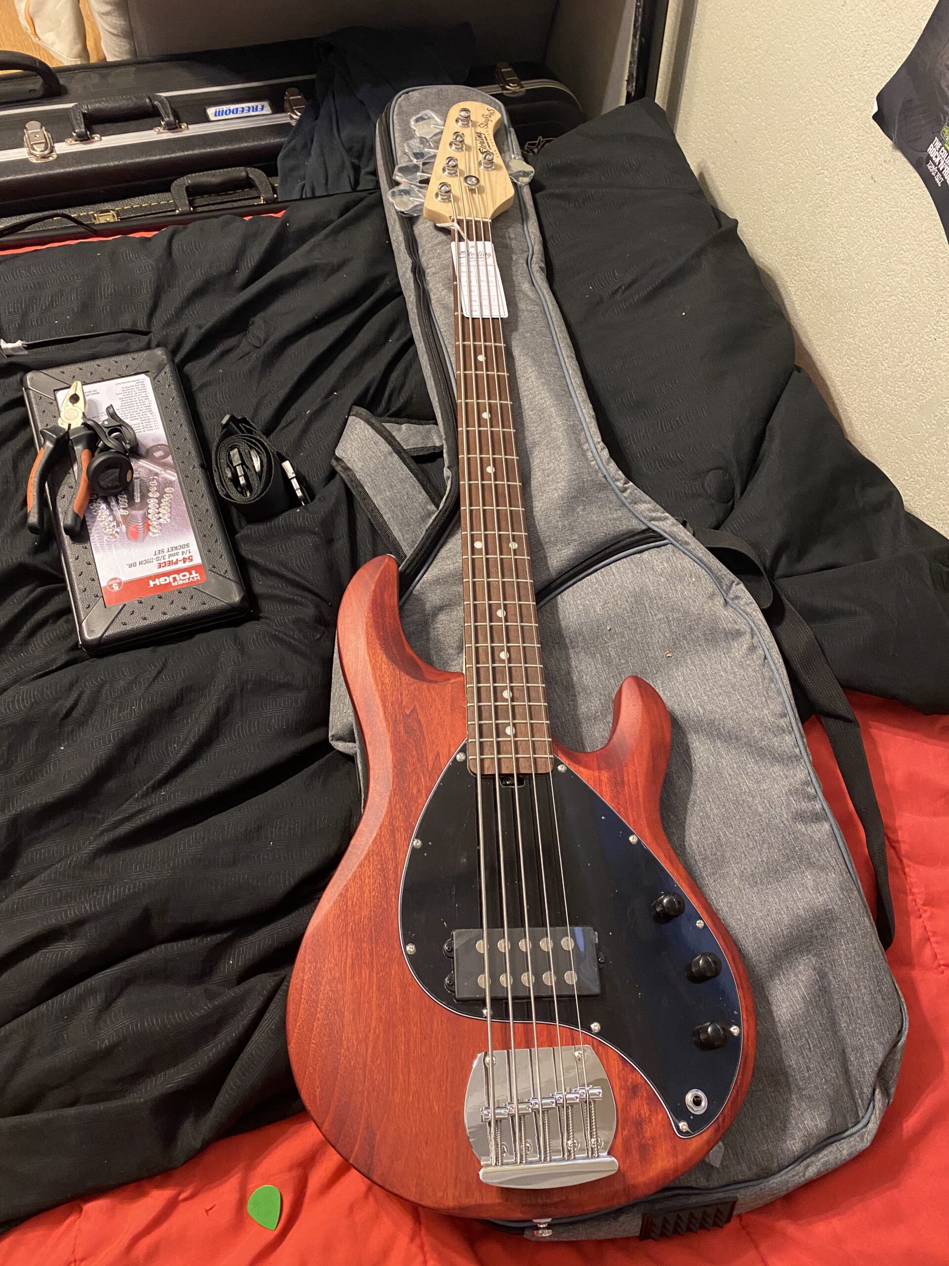 Sterling by Music Man StingRay Ray5 Bass Guitar in Walnut Satin, 5-String customer photo 2