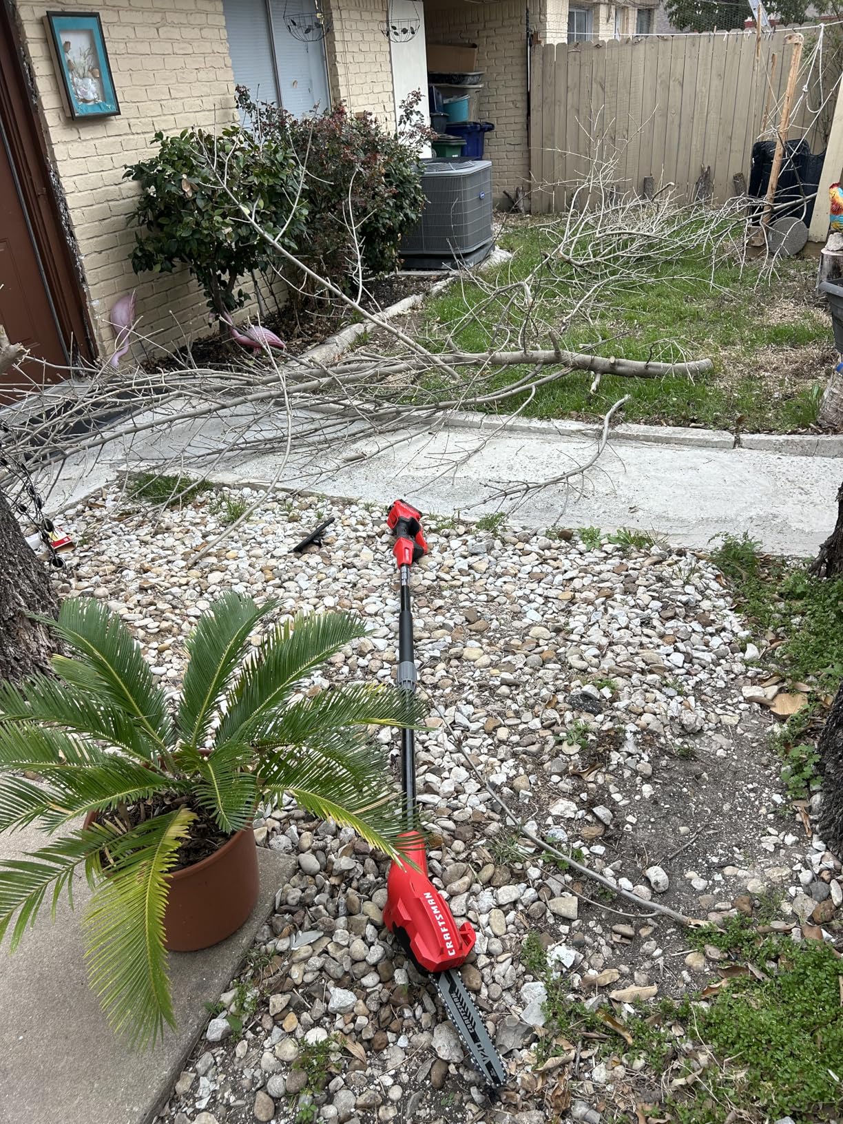 CRAFTSMAN V20 Cordless Pole Saw, 14-Foot Reach, Battery and Charger Included (CMCCSP20M1) customer photo 2