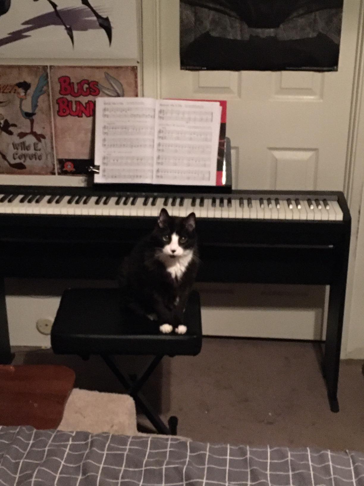 Roland FP-10 Compact 88-Note Digital Piano with SuperNATURAL Piano Tones customer photo 2