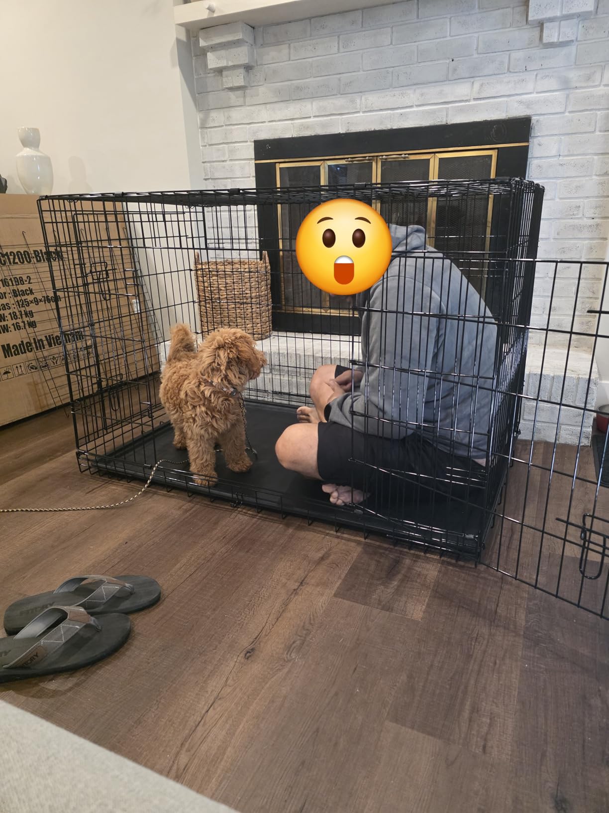 BestPet Dog Crate 48