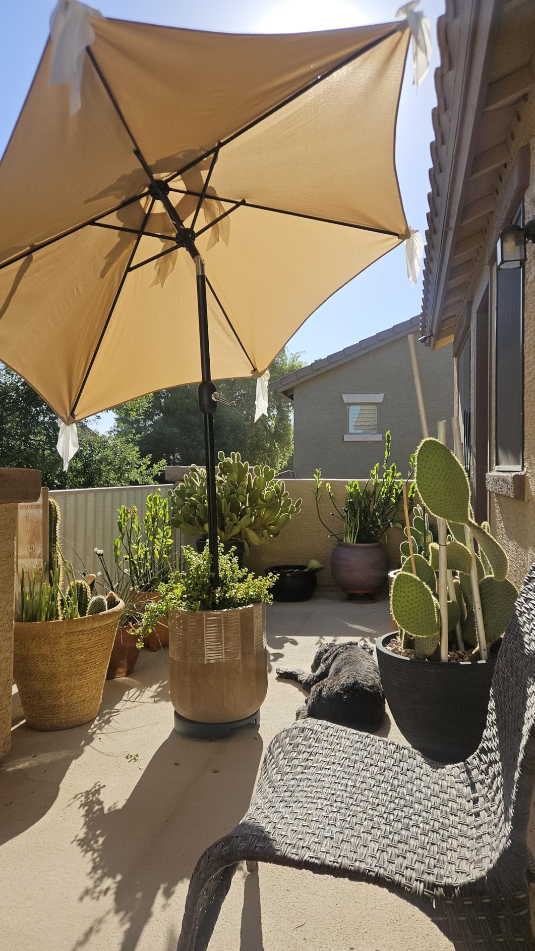 Sunnyglade 7.5' Patio Umbrella Outdoor Table Market Umbrella with Push Button Tilt/Crank, 6 Ribs (Blue) customer photo 1