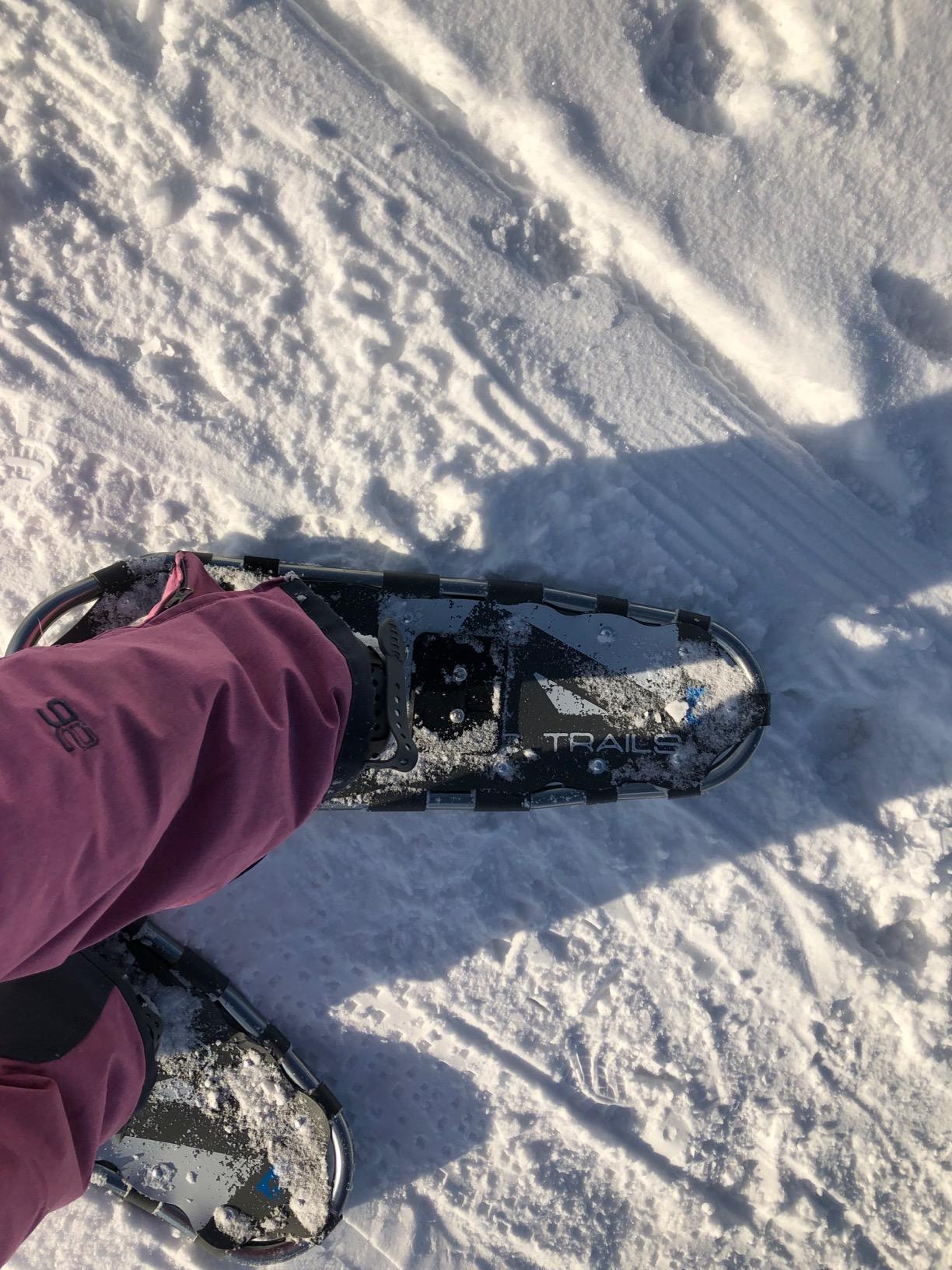 Franklin Sports Arctic Trails Snowshoes for Men + Women - Lightweight Aluminum Snowshoes for Adults customer photo 1