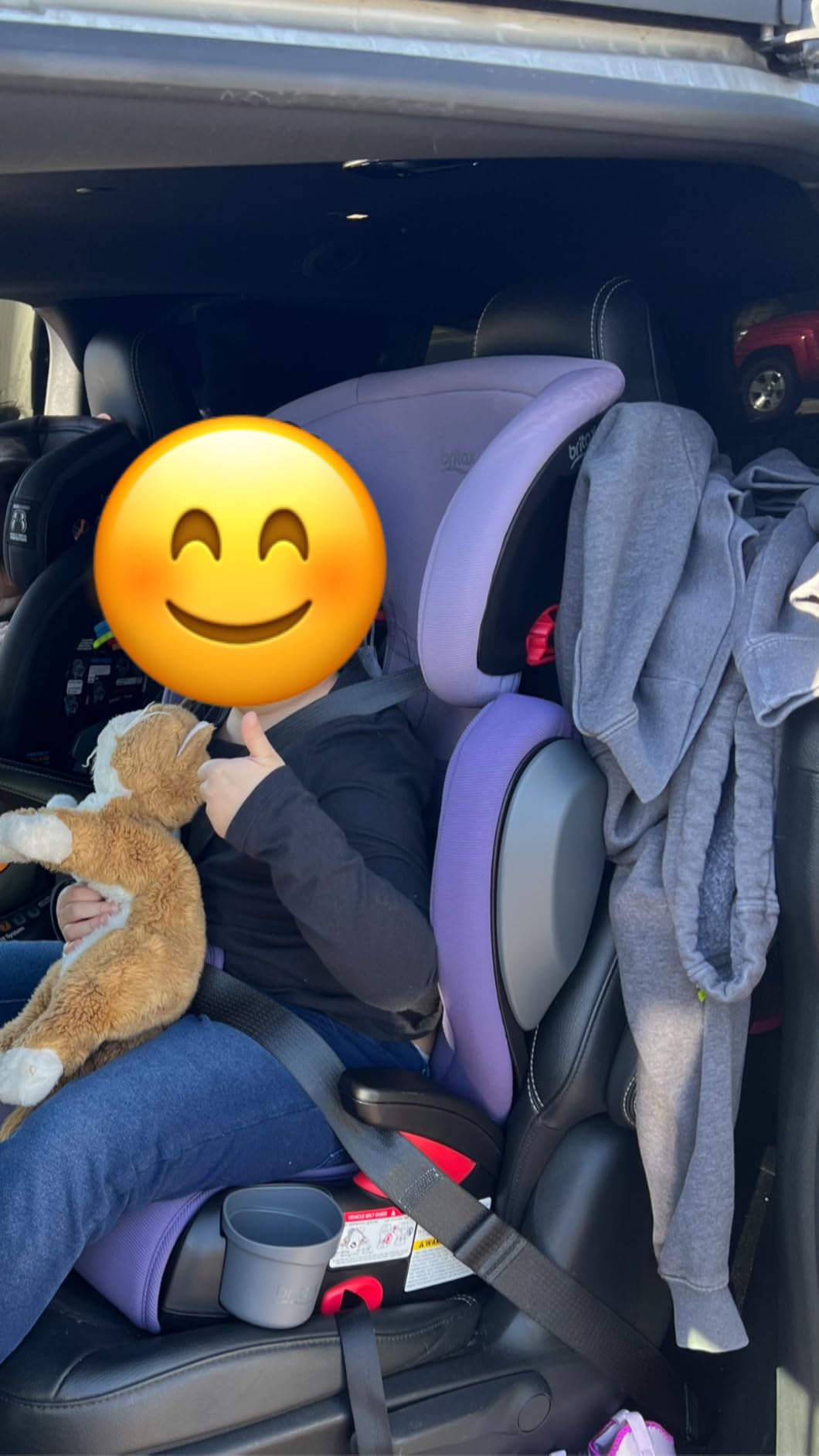 Britax Skyline customer photo 1