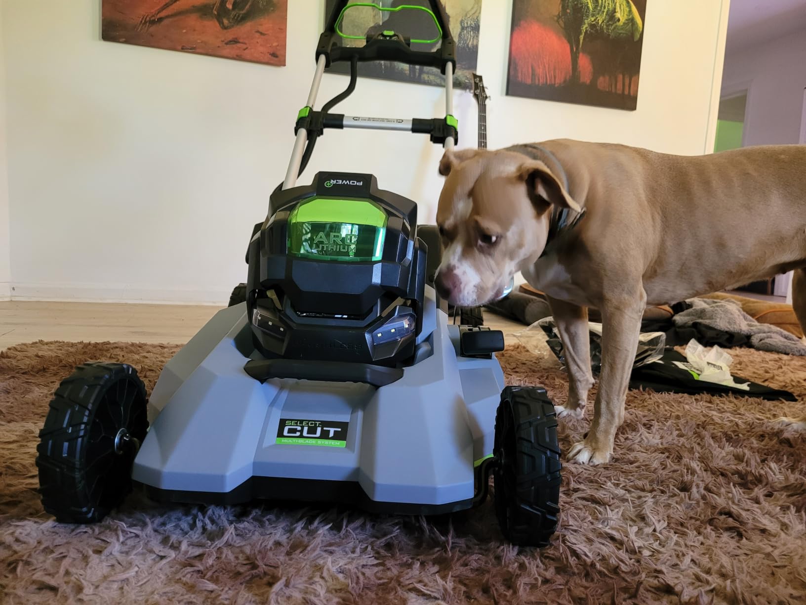 EGO POWER+ Electric Lawn Mower, Self-Propelled Cordless with Select Cut and Touch Drive, Includes 56V 7.5Ah Battery and Rapid Charger - LM2135SP customer photo 2