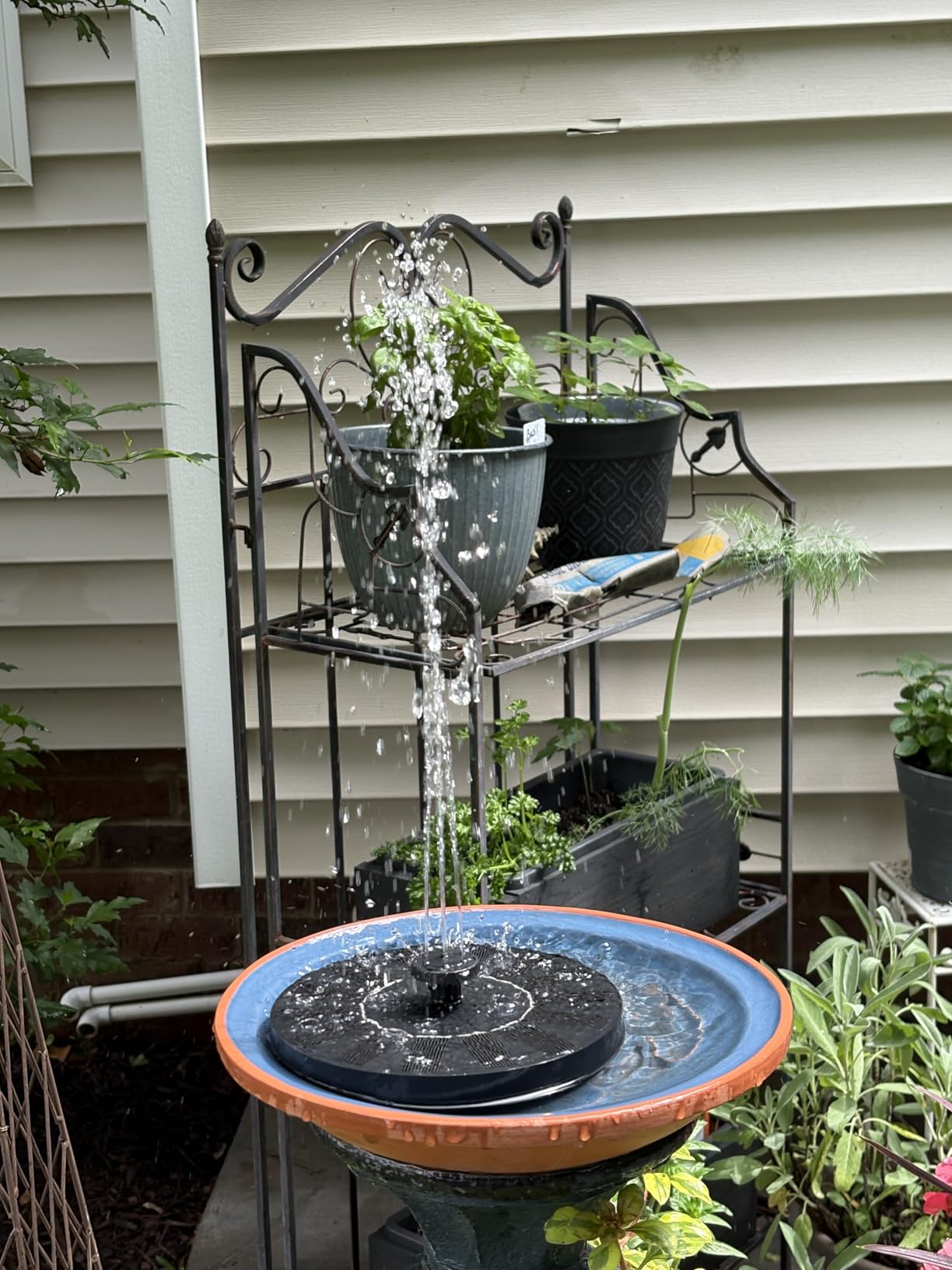 Mademax Solar Bird Bath Fountains, Upgrade 1.4W Solar Fountain Pump with 8 Nozzles & 4 Brackets, Free Standing Floating Solar Powered Water Fountain Pump for Bird Bath, Garden, Pond, Pool, Outdoor customer photo 2