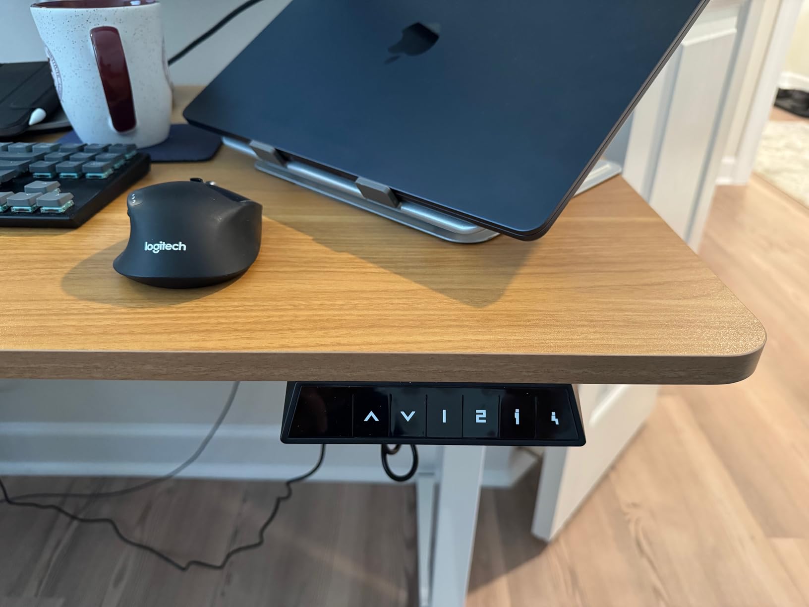 FLEXISPOT EN1 One-Piece Standing Desk, Electric Adjustable with 4 Memory Presets, 176 LBS Capacity, 48