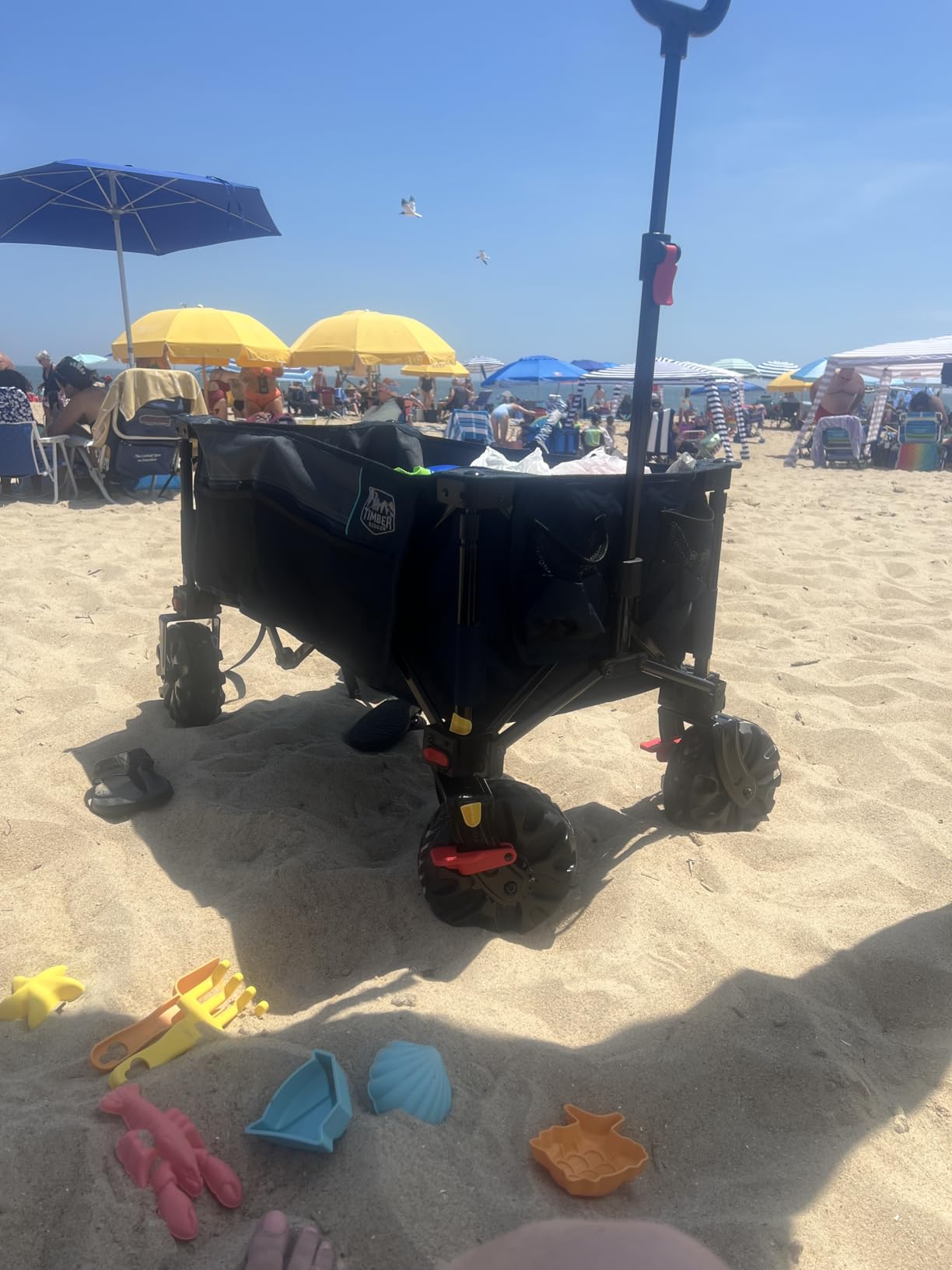 Timber Ridge Outdoor Collapsible Wagon with Brakes Utility Folding Cart Heavy Duty All Terrain Wheels for Shopping Camping Garden with Side Bag and Cup Holders, Blue customer photo 1