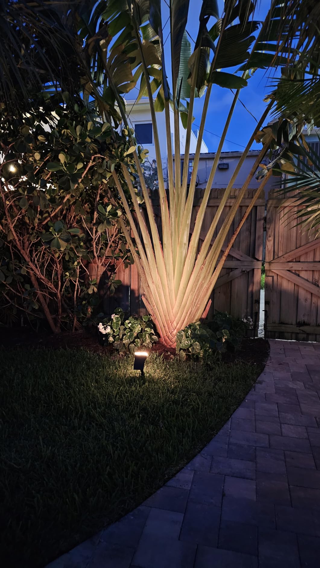 Linkind Solar Lights Outdoor Waterproof IP65, StarRay Dusk-to-Dawn Outdoor Solar Lights, 3 Lighting Modes Solar Spot Lights Outdoor for Garden, Yard, Landscape (Warm White, 6 Pack) customer photo 1