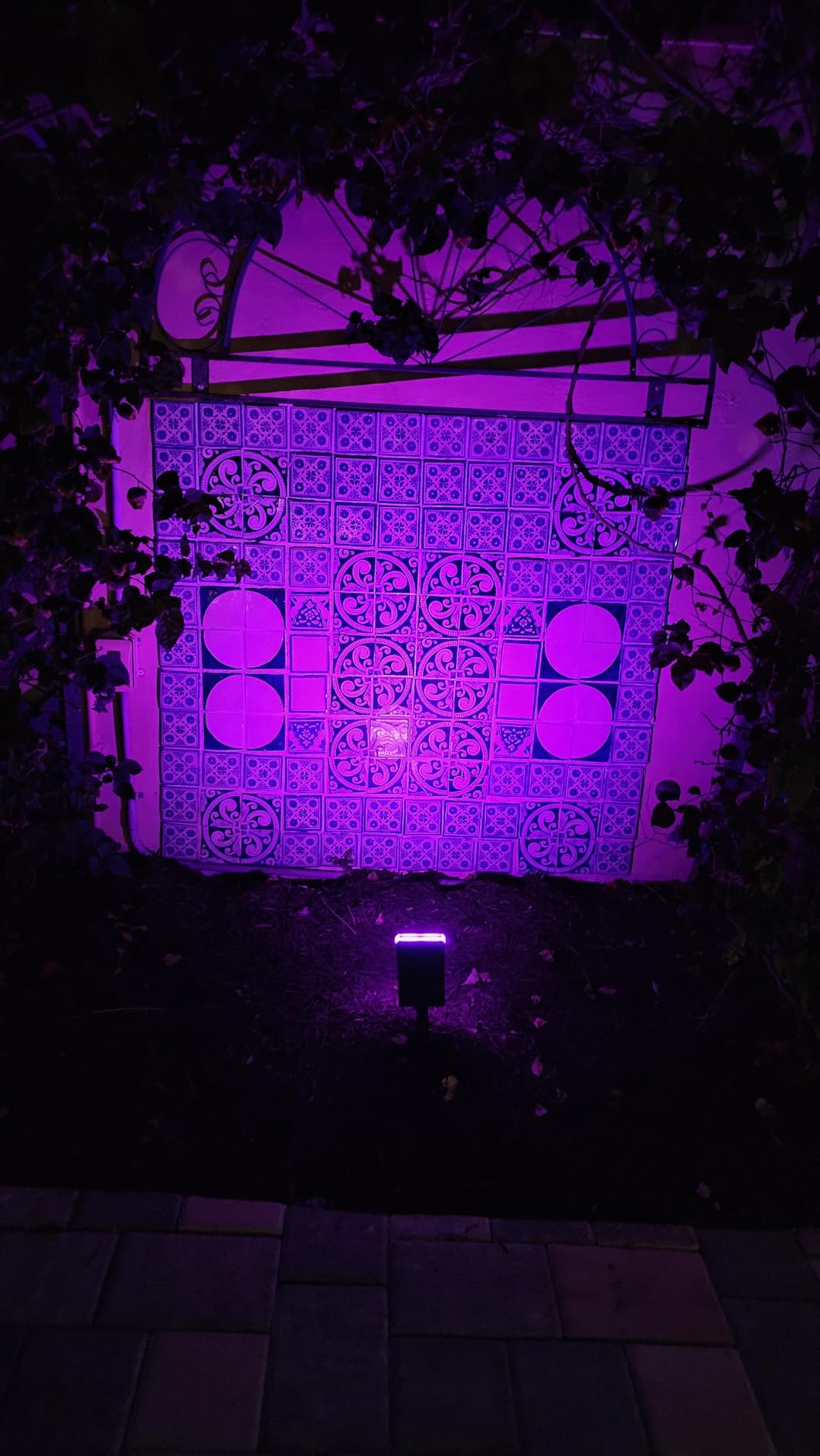 Linkind Solar Lights Outdoor Waterproof IP65, StarRay Dusk-to-Dawn Outdoor Solar Lights, 3 Lighting Modes Solar Spot Lights Outdoor for Garden, Yard, Landscape (Warm White, 6 Pack) customer photo 2