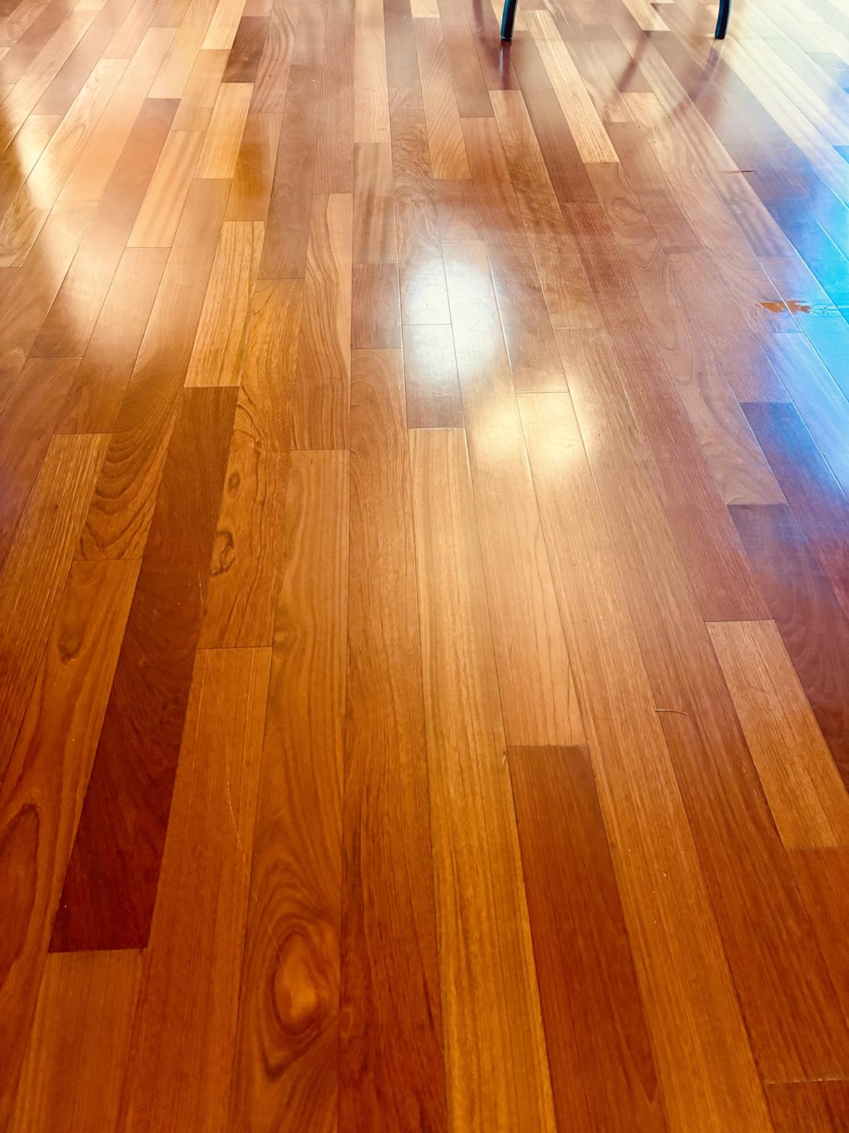 Bissell SpinWave Hard Floor Expert Corded Spin Mop Cleaner with Washable Mop Pads for Sealed Hard Floors, 20393 customer photo 1