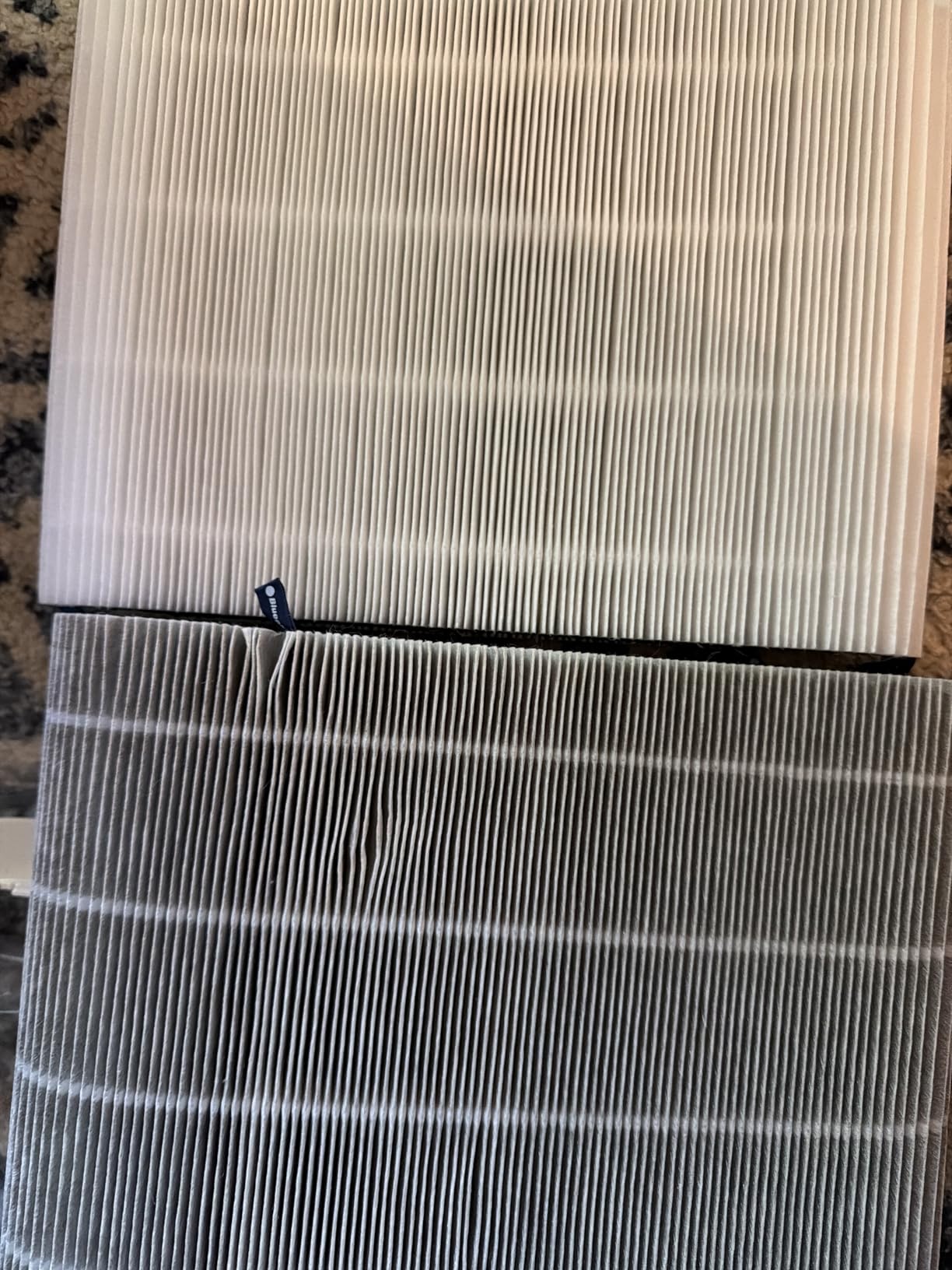 BLUEAIR Air Purifier for Home HEPA Air Purifiers for Pets, Allergies, Dust, HEPASilent Technology, Small Rooms 432 sq ft - Blue Pure 511 customer photo 1