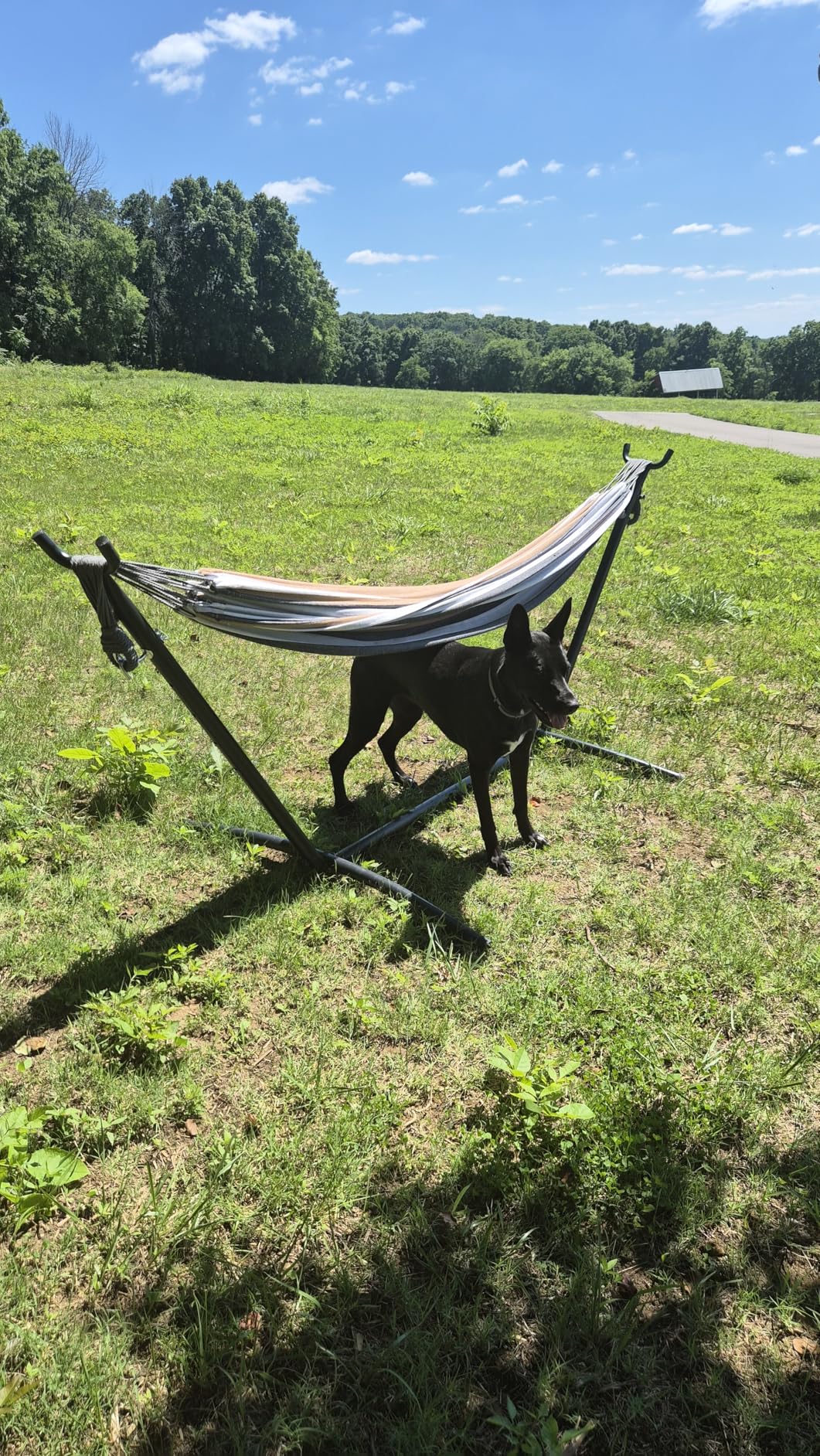 PNAEUT Double Hammocks with Stand for Outside, Portable Space Saving Heavy-Duty Steel Frame for Indoor Outdoor Patio Yard, Easy Assembly, 2 Person 450 lbs Capacity (Coffee) customer photo 1