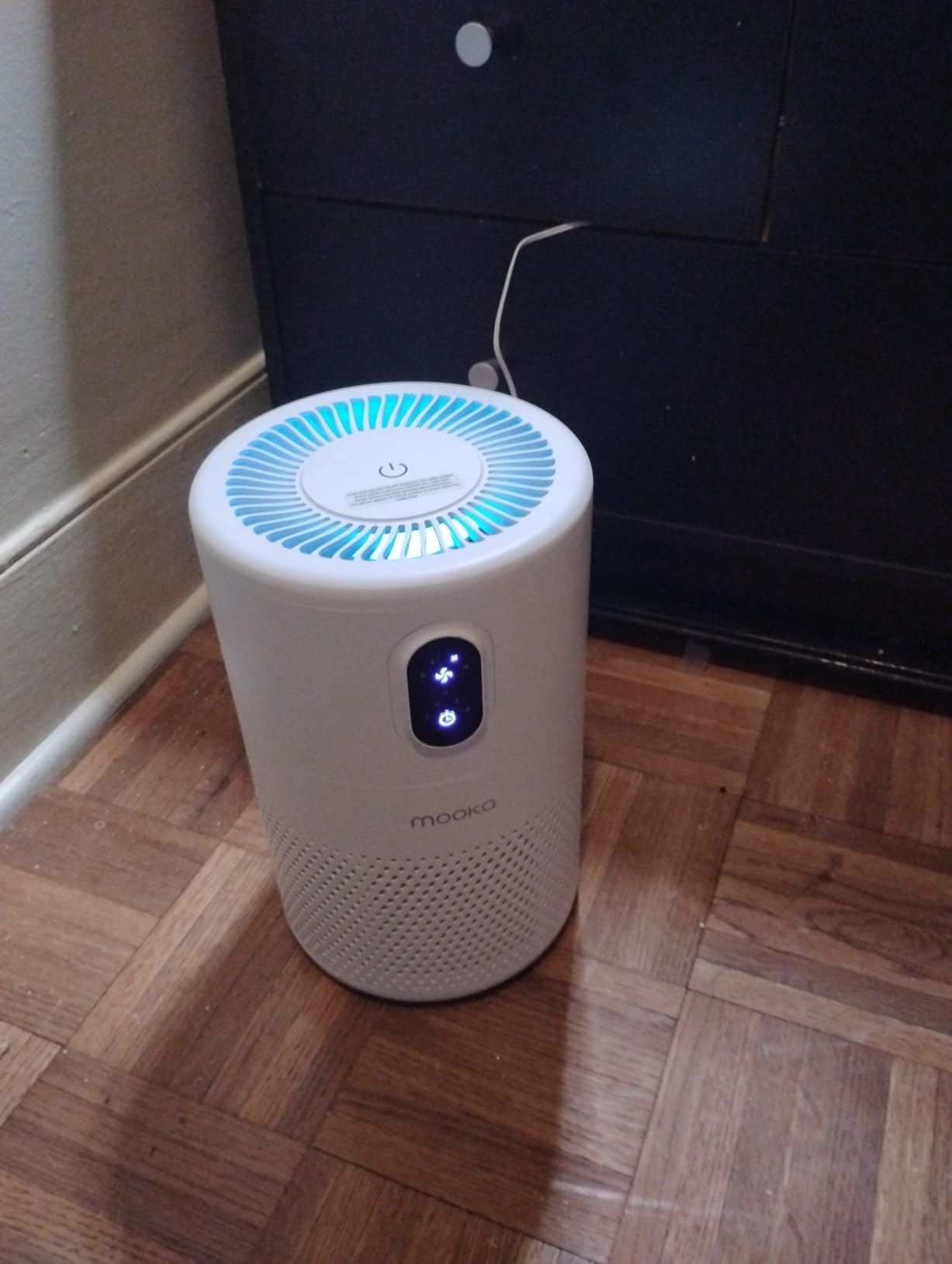 MOOKA Air Purifiers for Home Large Room up to 1076ft², H13 True HEPA Air Filter, Remove Smoke Dust Pollen Pet Dander, B-D02L White customer photo 1