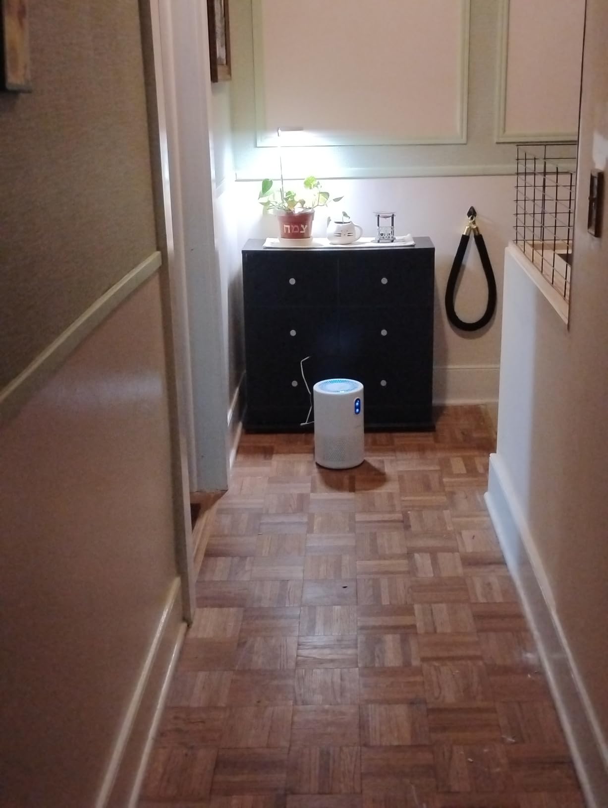 MOOKA Air Purifiers for Home Large Room up to 1076ft², H13 True HEPA Air Filter, Remove Smoke Dust Pollen Pet Dander, B-D02L White customer photo 2