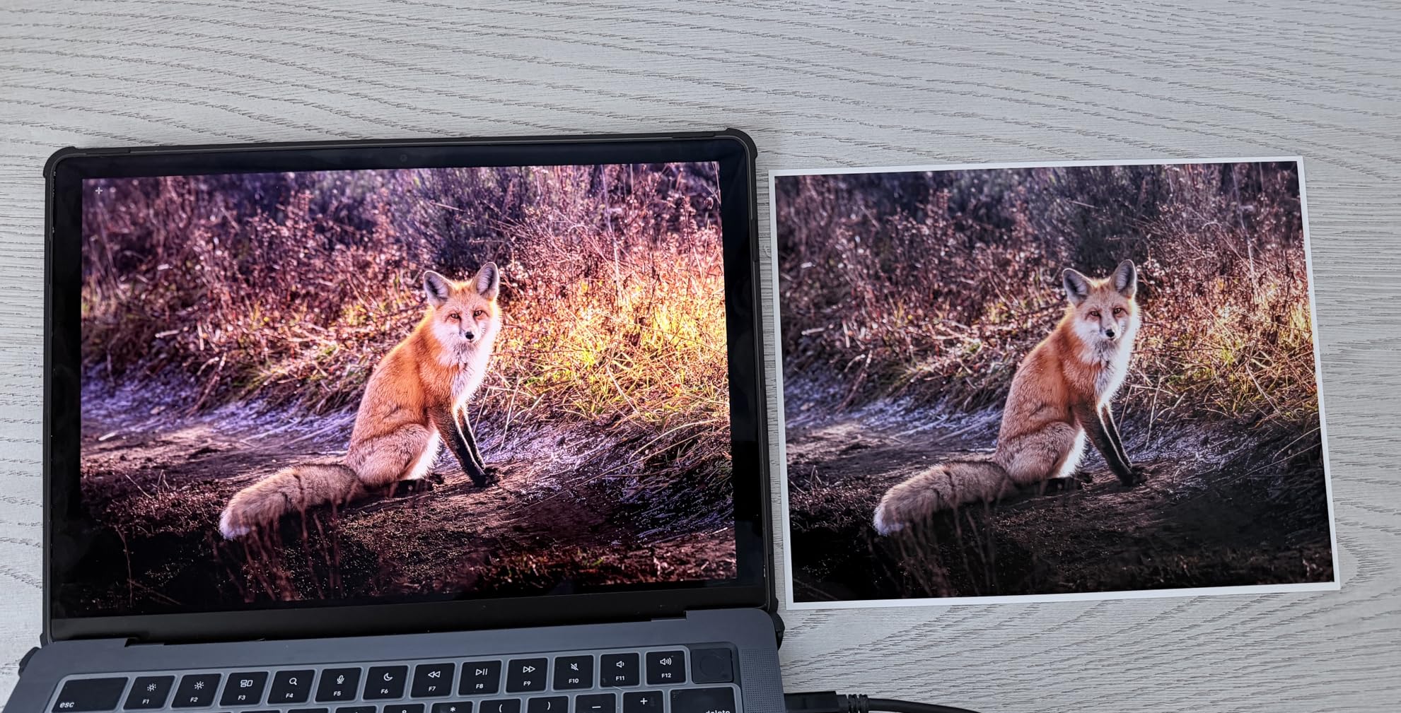 Epson EcoTank Photo ET-8550 Wireless Wide-Format Color All-in-One Supertank Printer customer photo 2