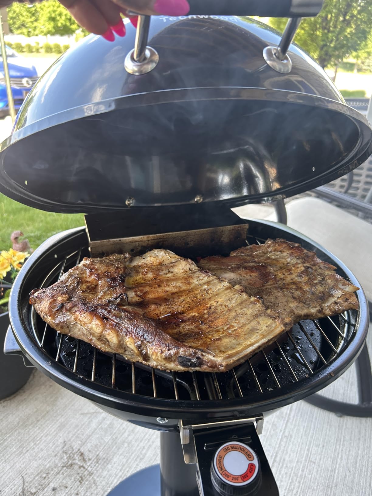 Electric BBQ Grill Techwood 15-Serving Indoor/Outdoor Electric Grill for Indoor & Outdoor Use, Double Layer Design, Portable Removable Stand Grill, 1600W (Stand Black BBQ Grills) customer photo 1