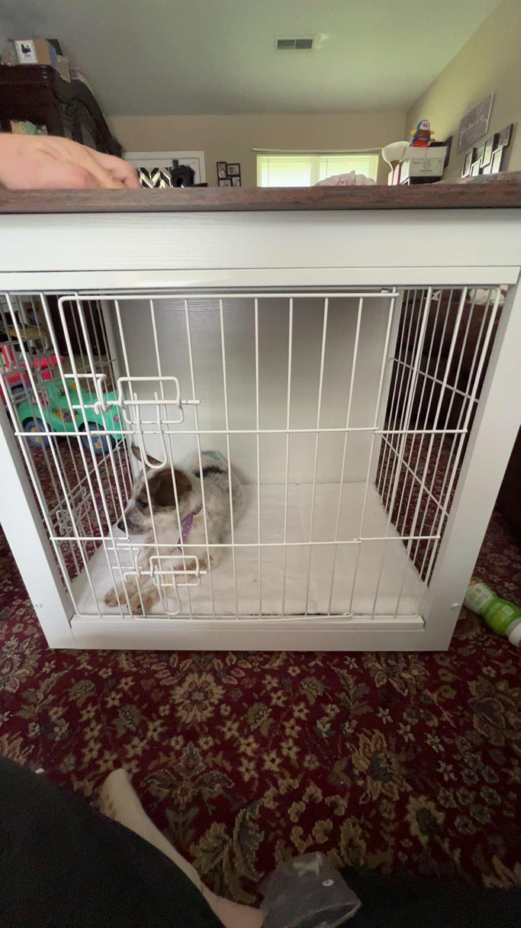 DWANTON Dog Crate Furniture with Cushion, Wooden Kennel Table with Double Doors, Indoor Dog House, Small/Medium/Large/Extra Large Size, 27.2