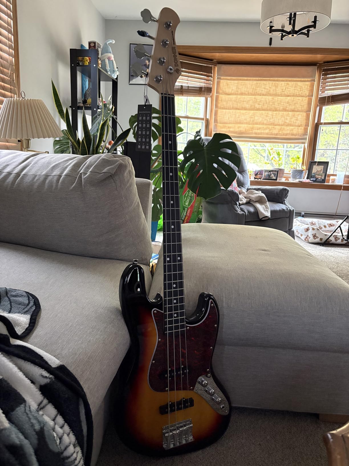 Donner Electric Bass Guitar 4 Strings Full-Size Standard Bass PJ-Style Electric Bass DPJ-100 Black customer photo 1