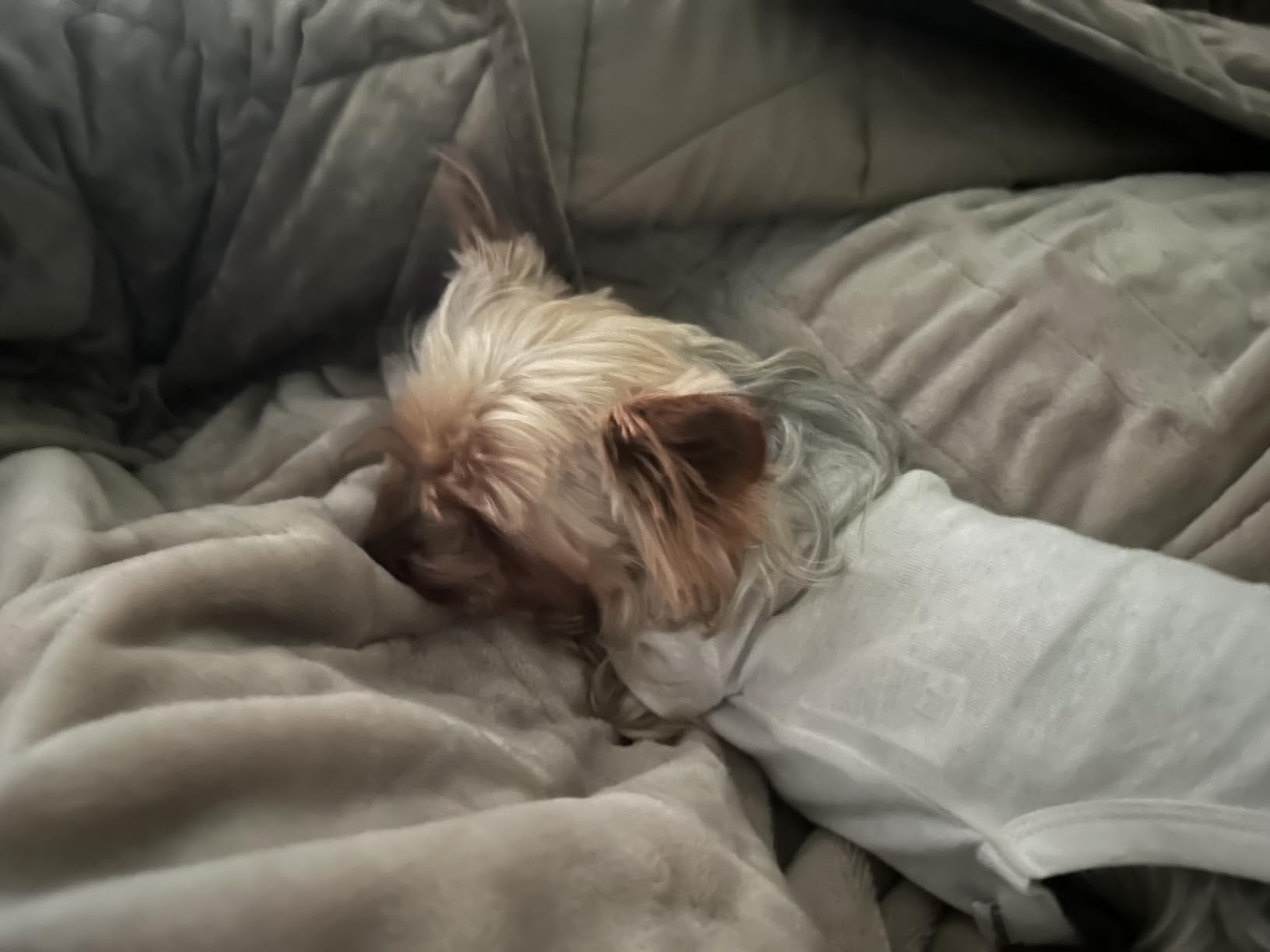 Tefici Electric Heated Blanket Throw, Super Cozy Soft 2-Layer Flannel 50