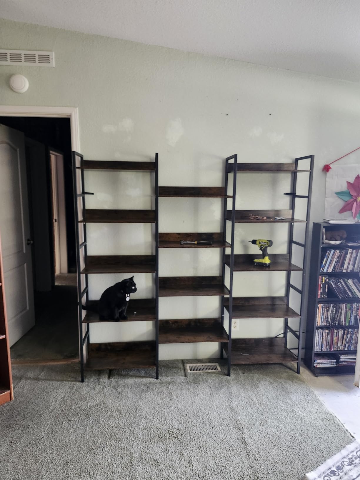 IRONCK Bookshelf, Bookshelves and Bookcases, 5 Tiers Bookshelf with Baffles, Large Book Shelf with Metal Shelving, Triple Wide Shelves for Living Room, Home Office customer photo 2