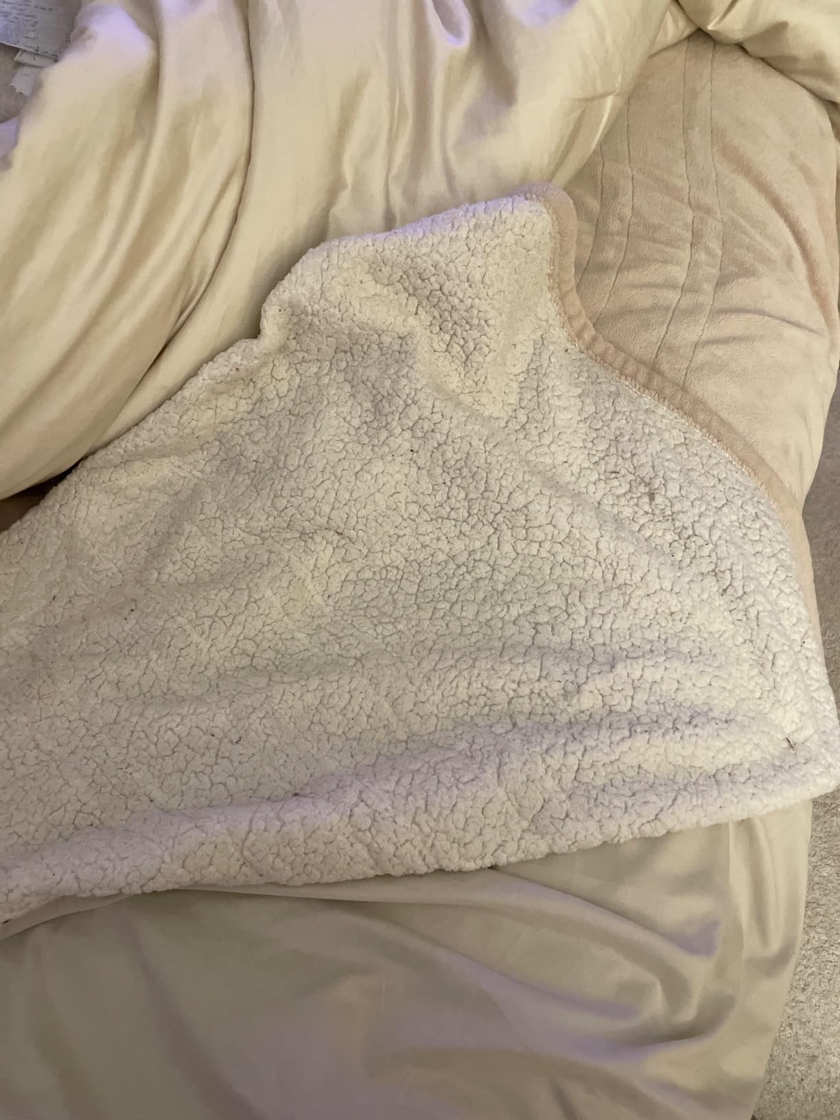 Sealy Electric Throw Blanket, Flannel & Sherpa Heated Throw with 6 Heating Levels & 2-10 Hours Auto Shut Off, Fast Heating & Machine Washable, 50x60 Inch, Light Grey customer photo 1