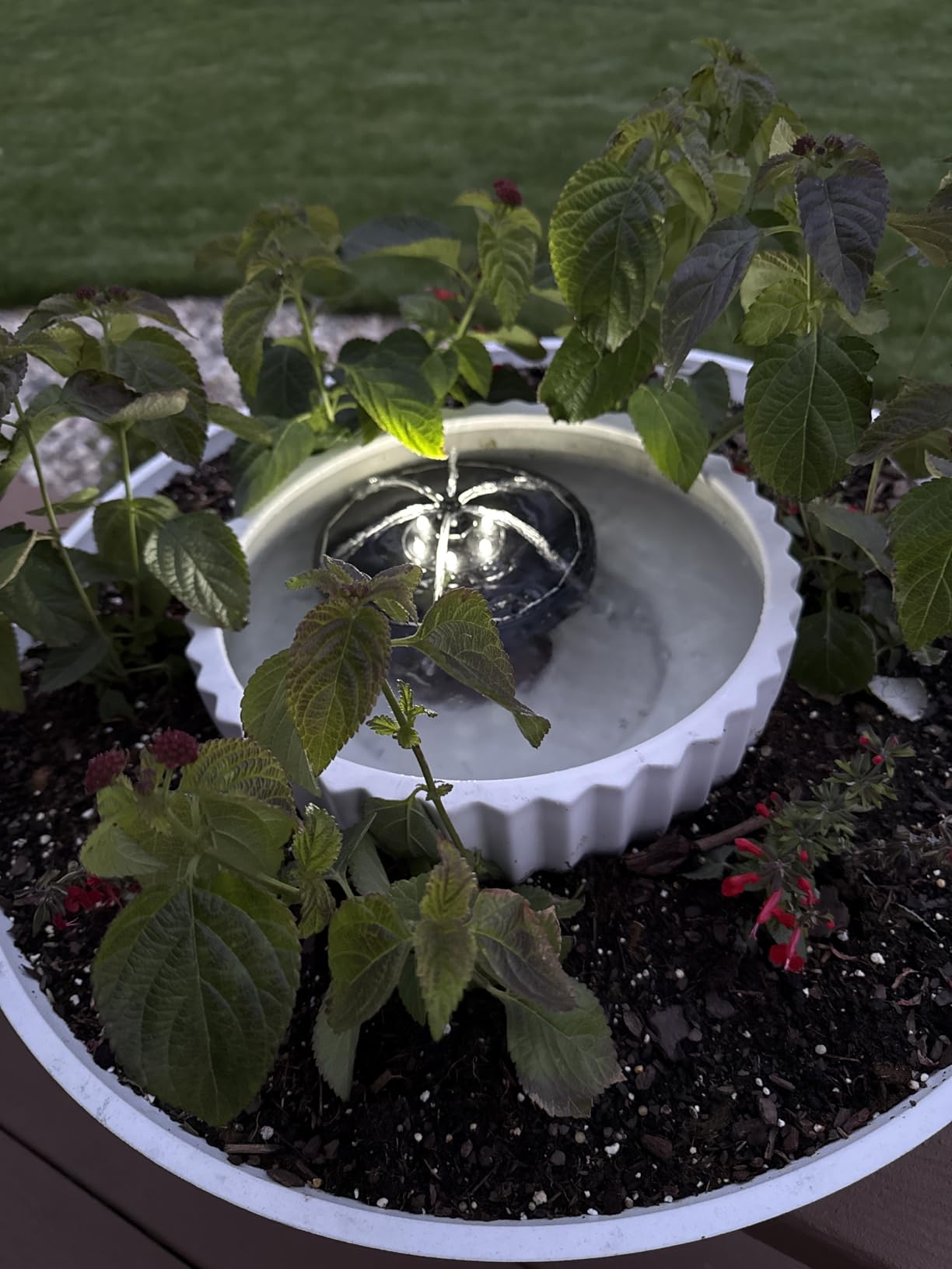SZMP Solar Fountain Pump Upgraded 100% Glass Panel, 3.5W Solar Powered Fountain Built-in 2000 Battery with 7 Nozzle & 4 Fixer, Solar Fountain for Bird Bath, Pond, Fish Tank, Outdoor customer photo 2