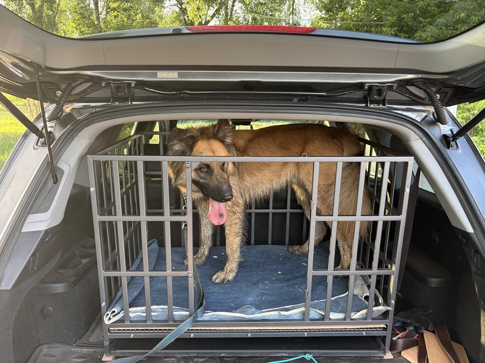 Hiwokk 48 Inch Heavy Duty Dog Crate, Indestructible Escape-Proof Dog Kennel for High Anxiety Large Dogs, Strong Metal Pet Cage with Double Doors, Lockable Wheels & Removable Tray, XL XXL XXXL customer photo 1